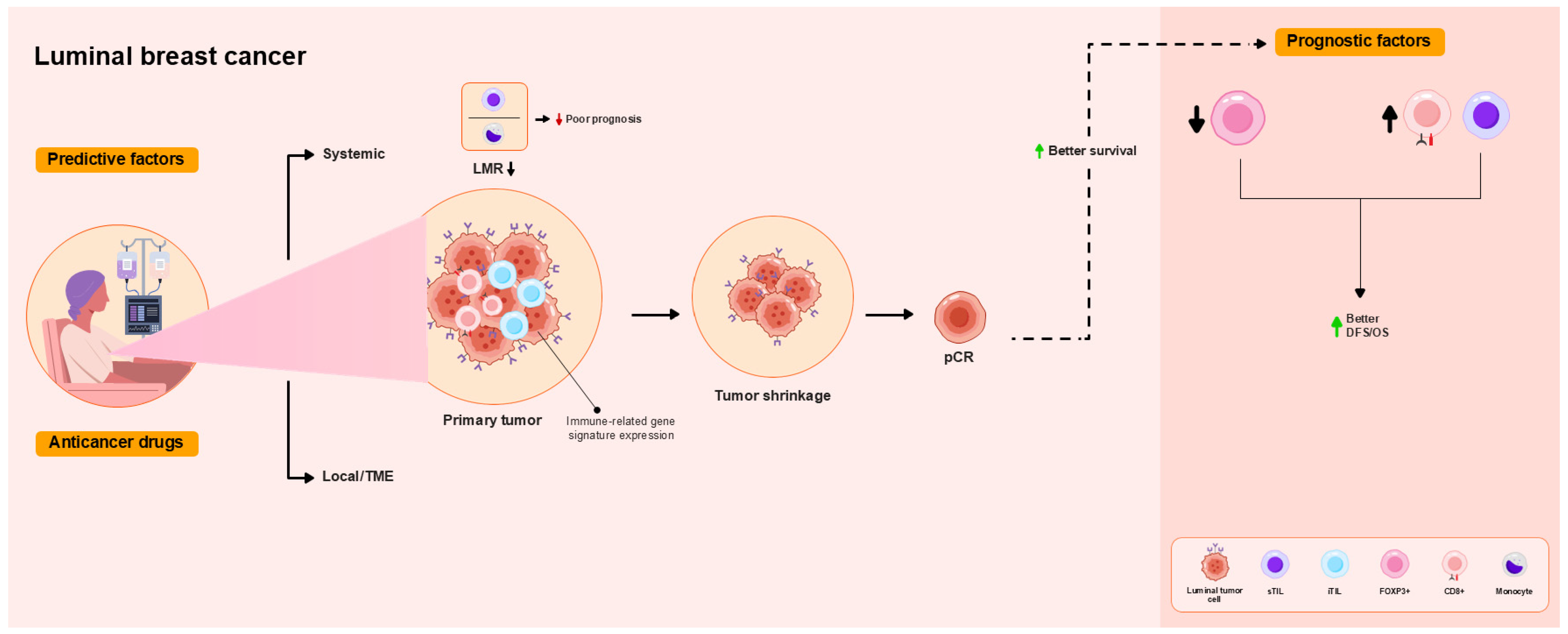Ijms 26 09959 g003 Ijms 26 09959 g003
