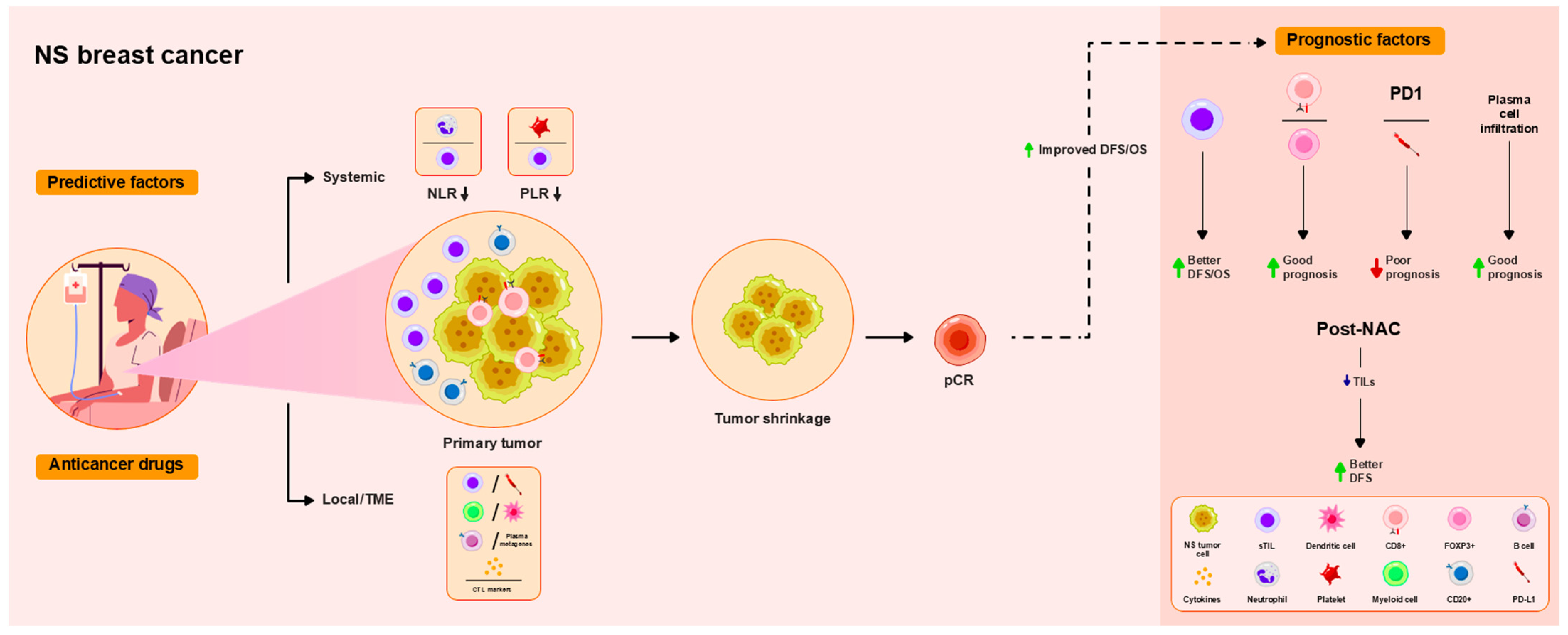 Ijms 26 09959 g004 Ijms 26 09959 g004