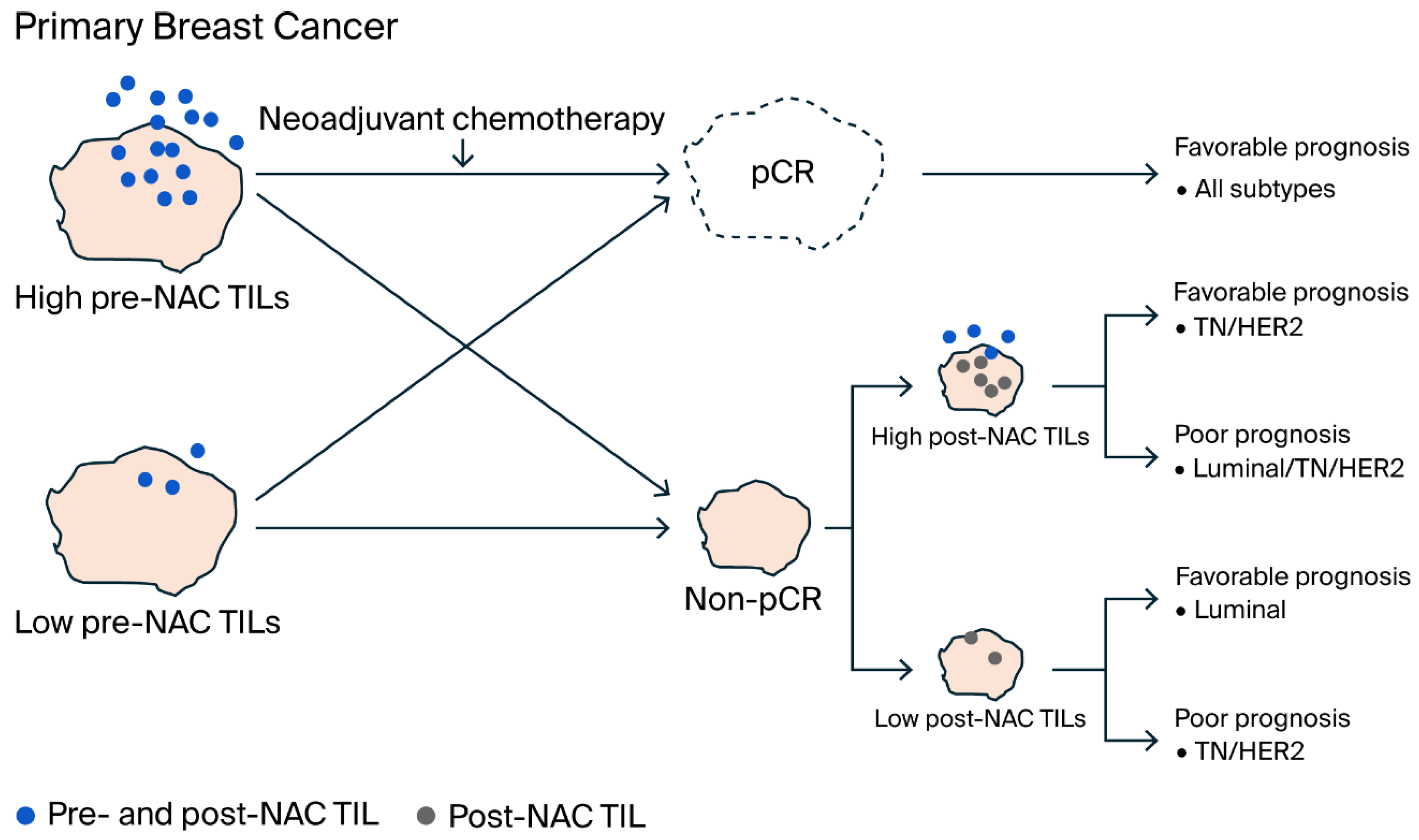 Ijms 26 09959 g005 Ijms 26 09959 g005