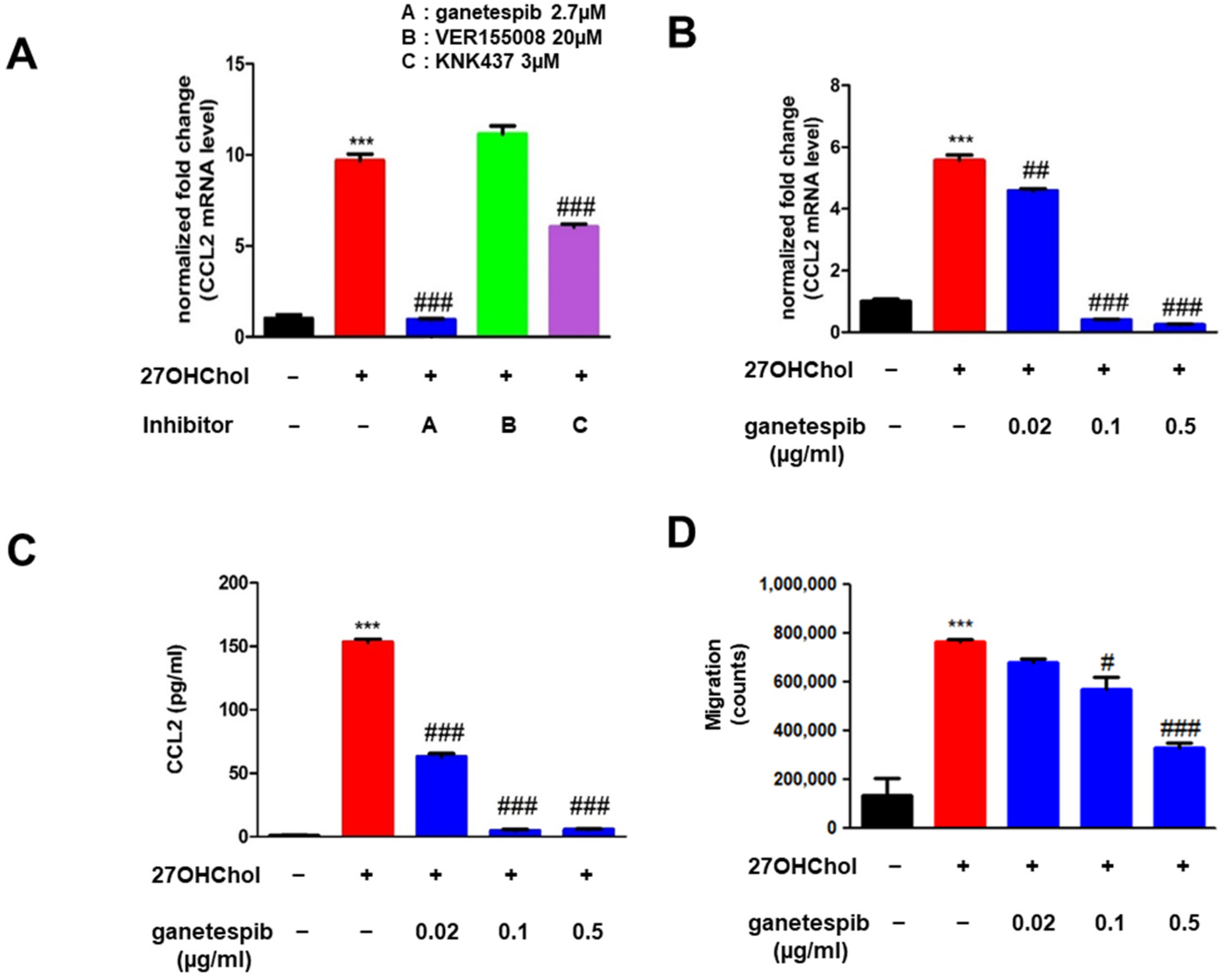 Ijms 26 09963 g001 Ijms 26 09963 g001
