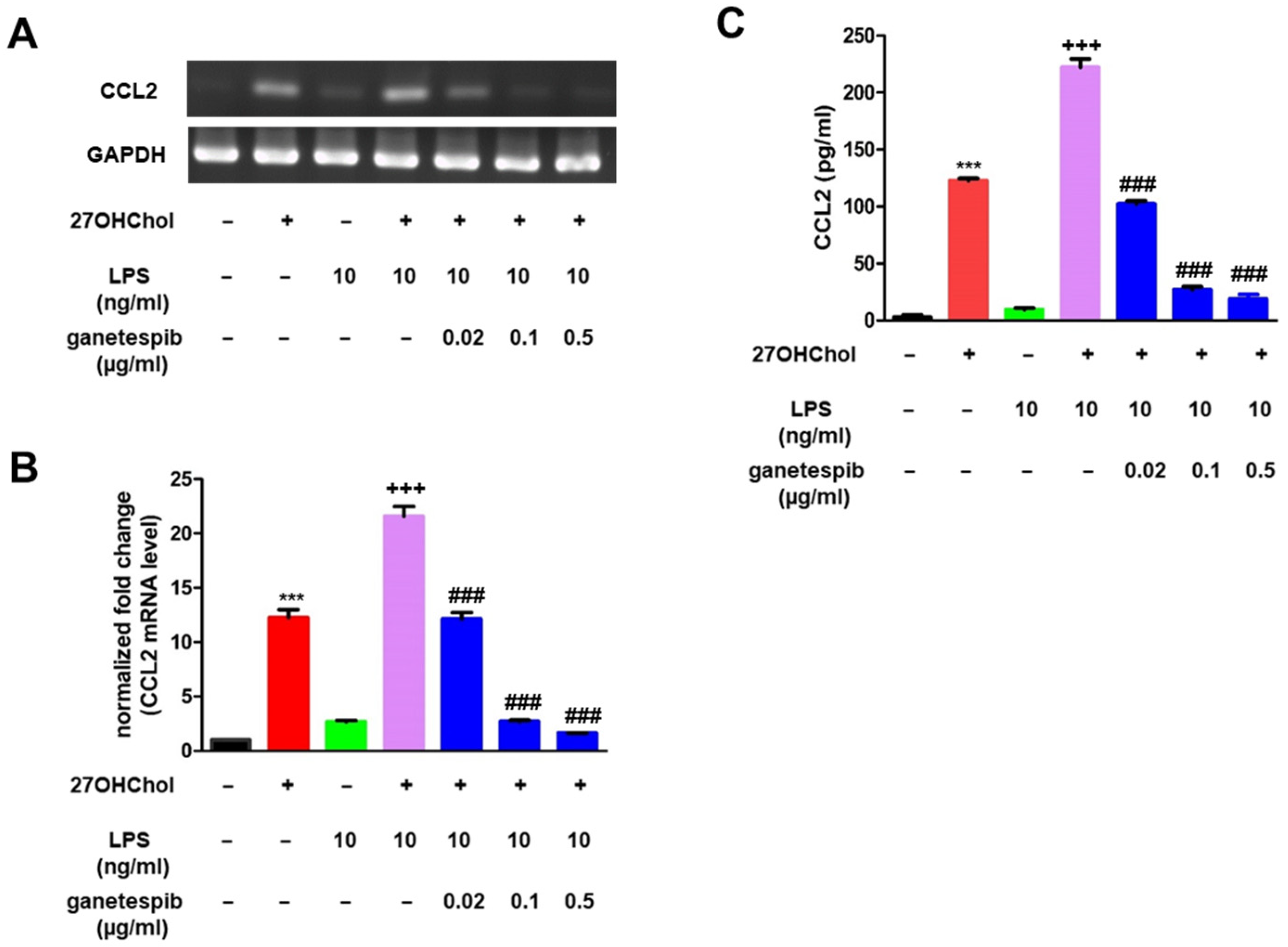 Ijms 26 09963 g002 Ijms 26 09963 g002