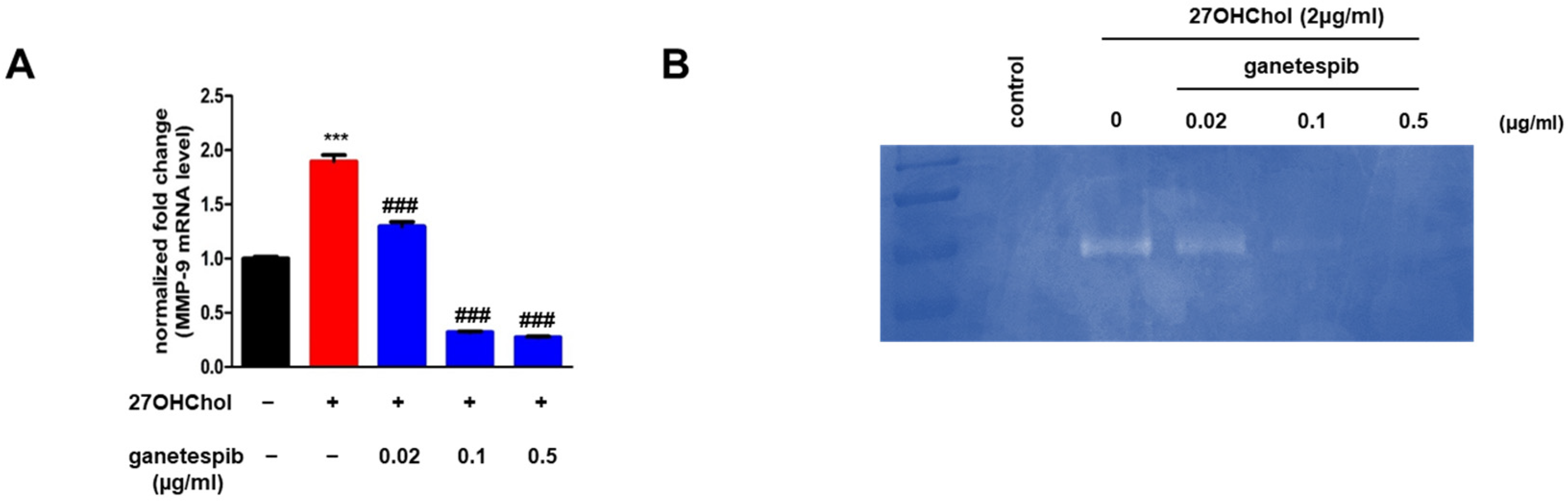 Ijms 26 09963 g003 Ijms 26 09963 g003