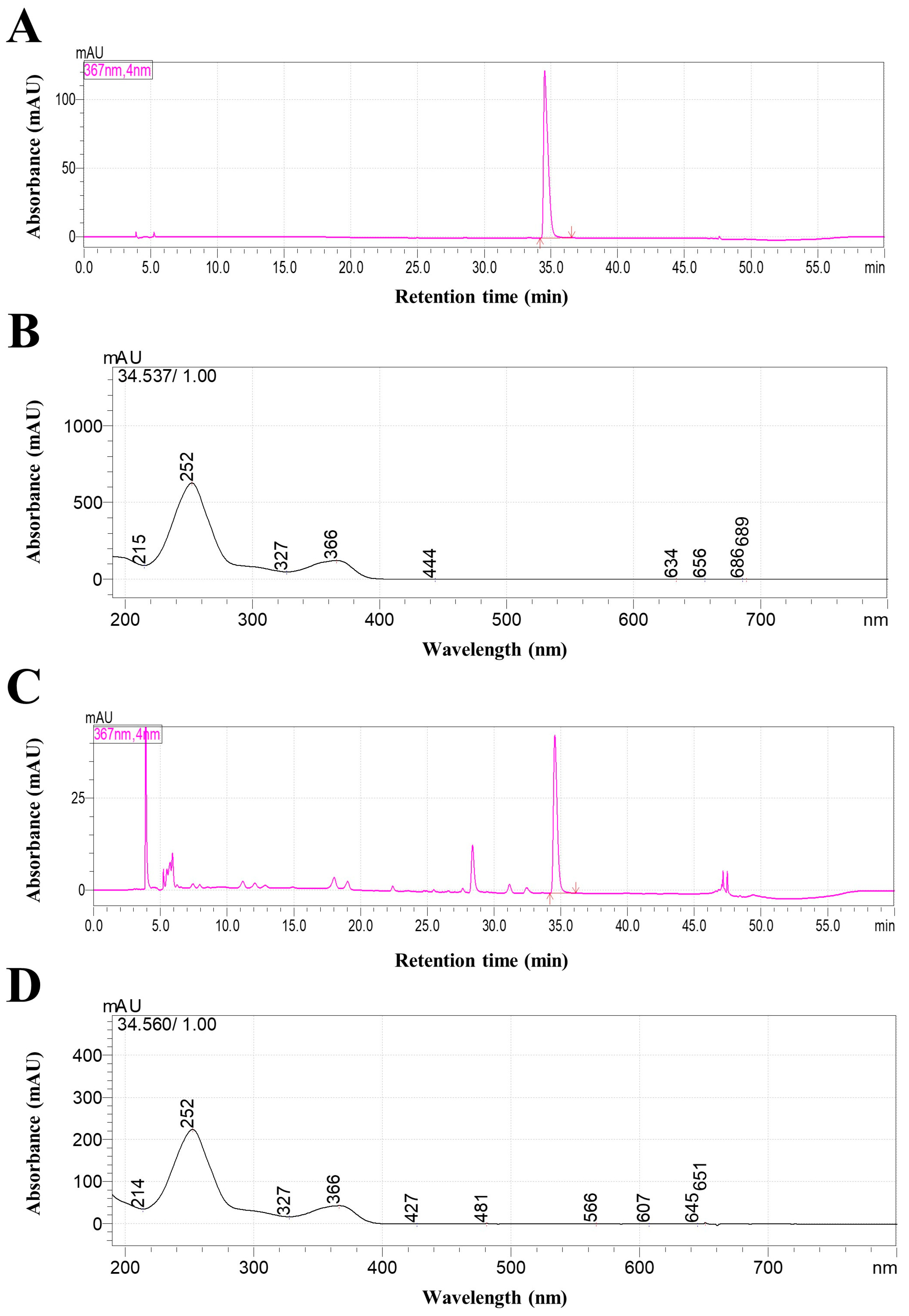 Ijms 26 09965 g001 Ijms 26 09965 g001