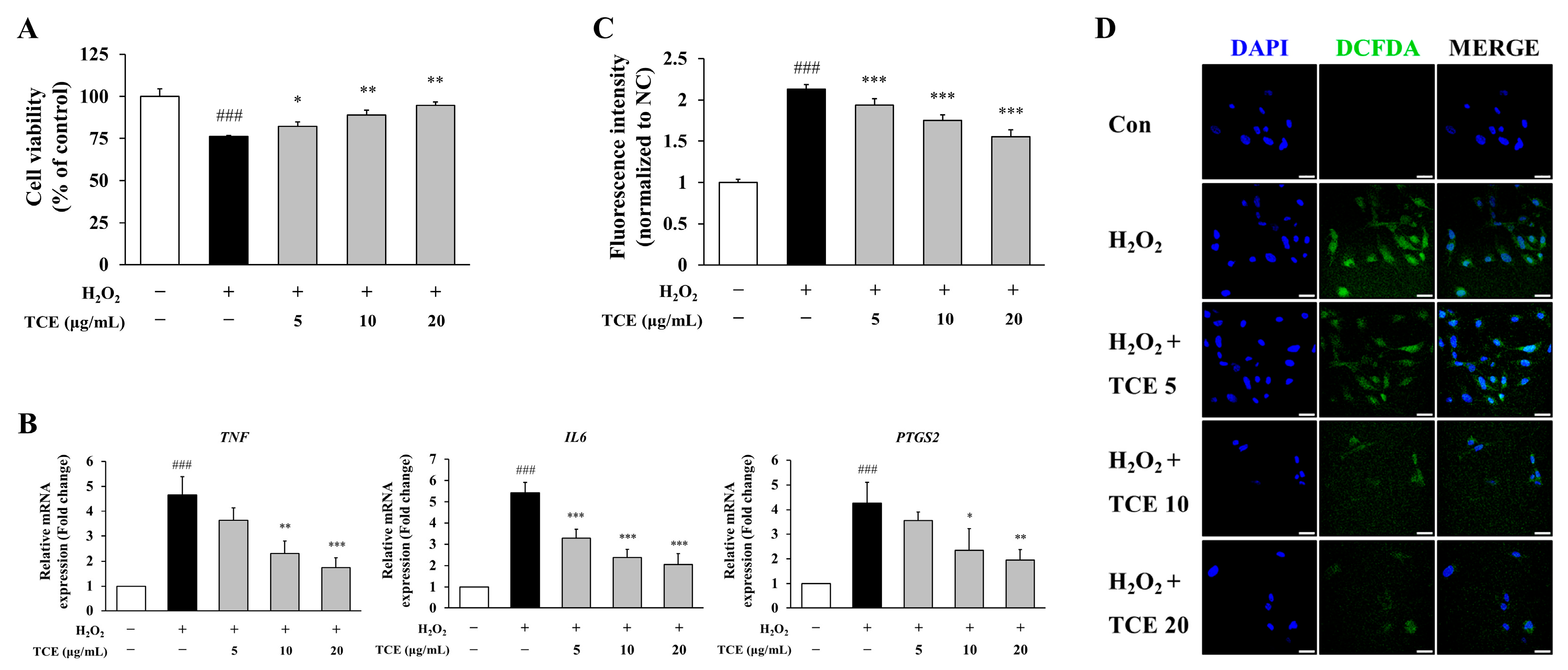 Ijms 26 09965 g002 Ijms 26 09965 g002