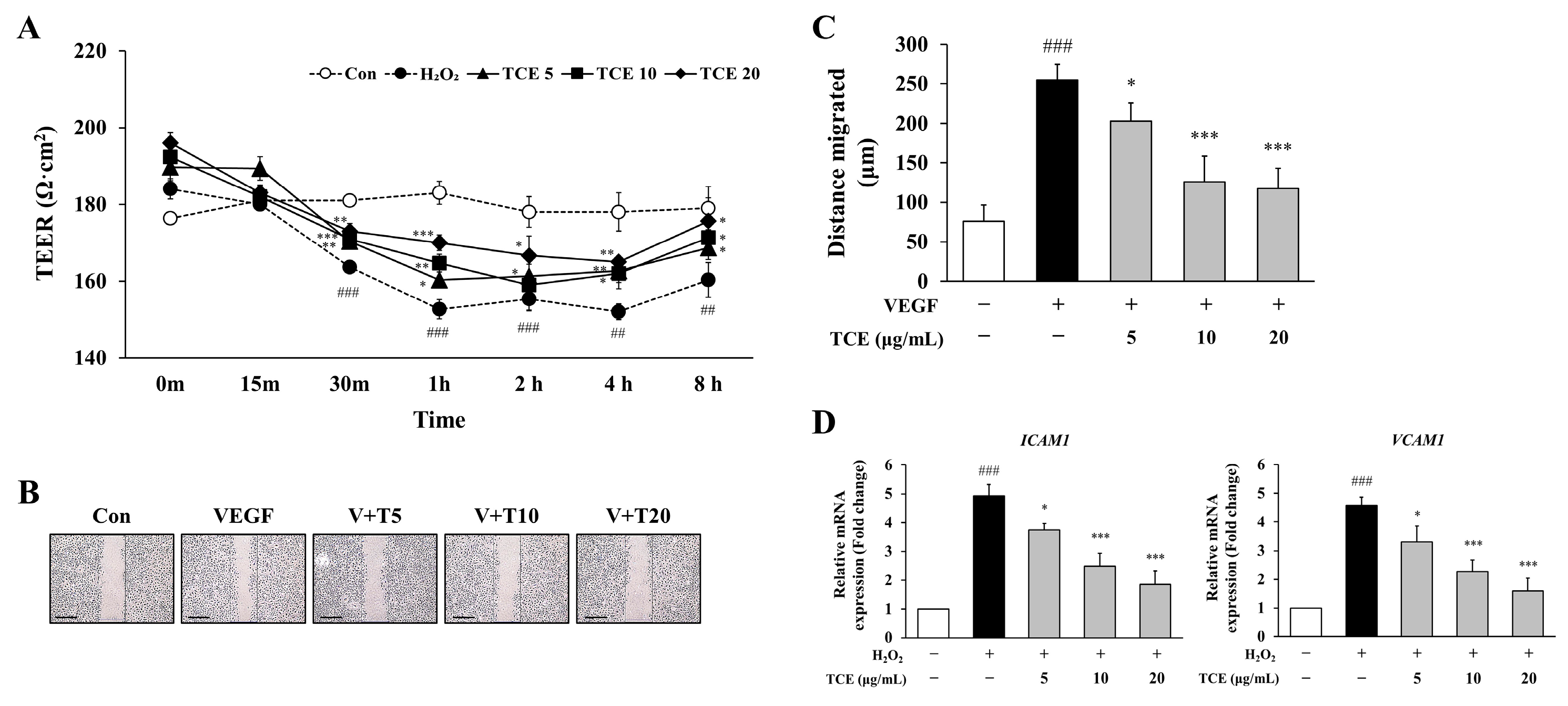 Ijms 26 09965 g003 Ijms 26 09965 g003