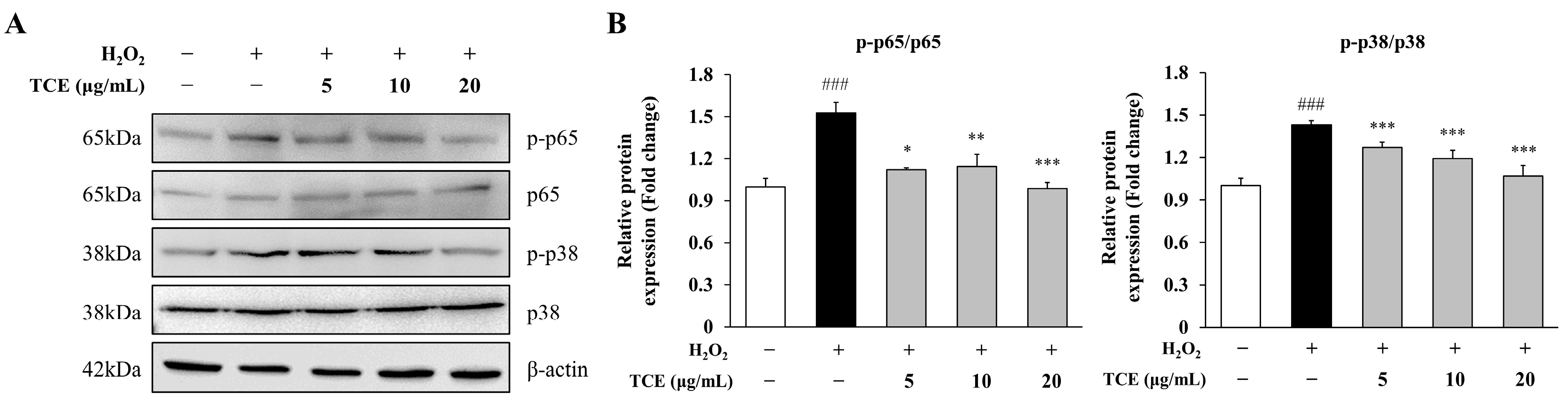 Ijms 26 09965 g004 Ijms 26 09965 g004
