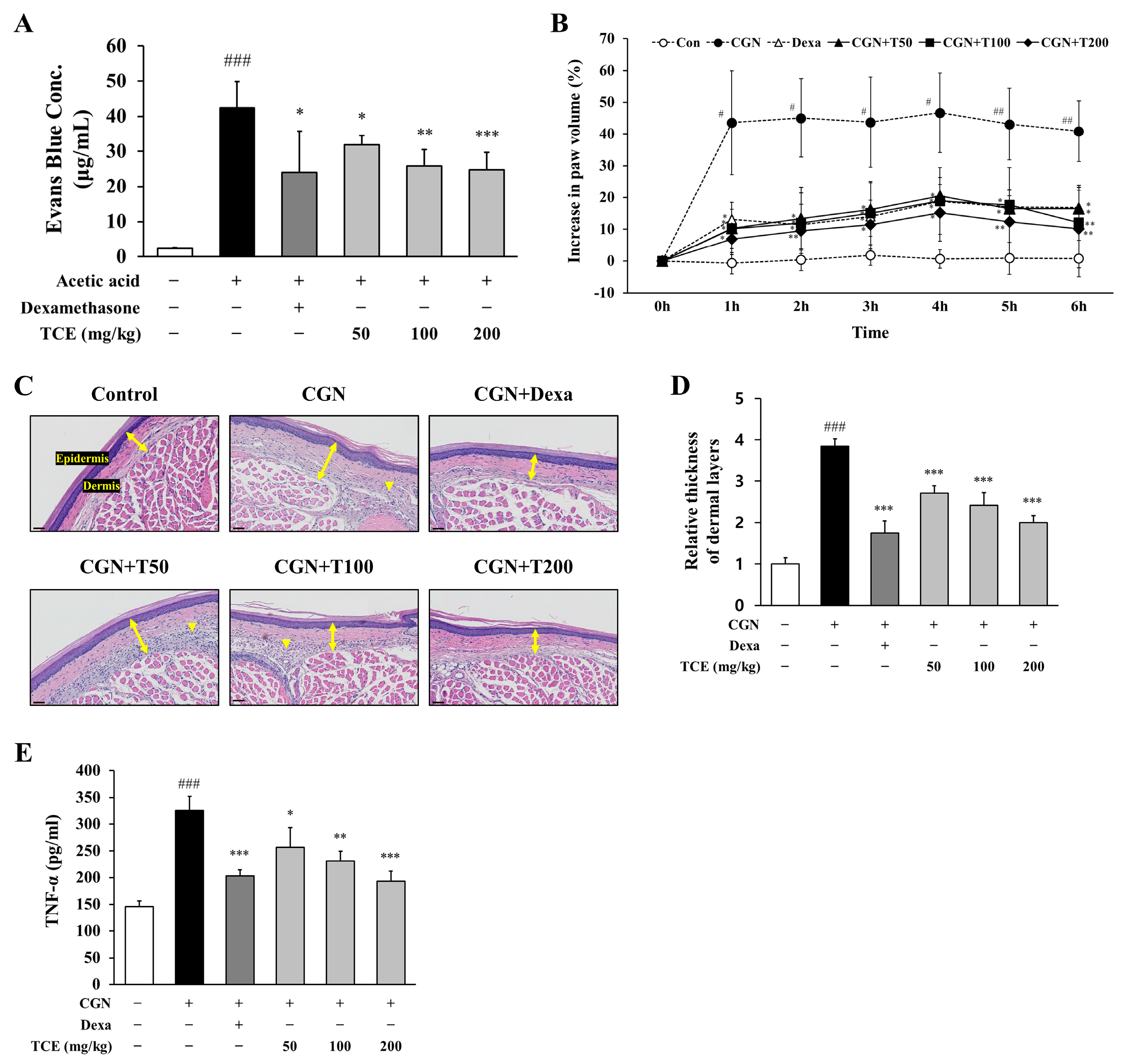 Ijms 26 09965 g005 Ijms 26 09965 g005