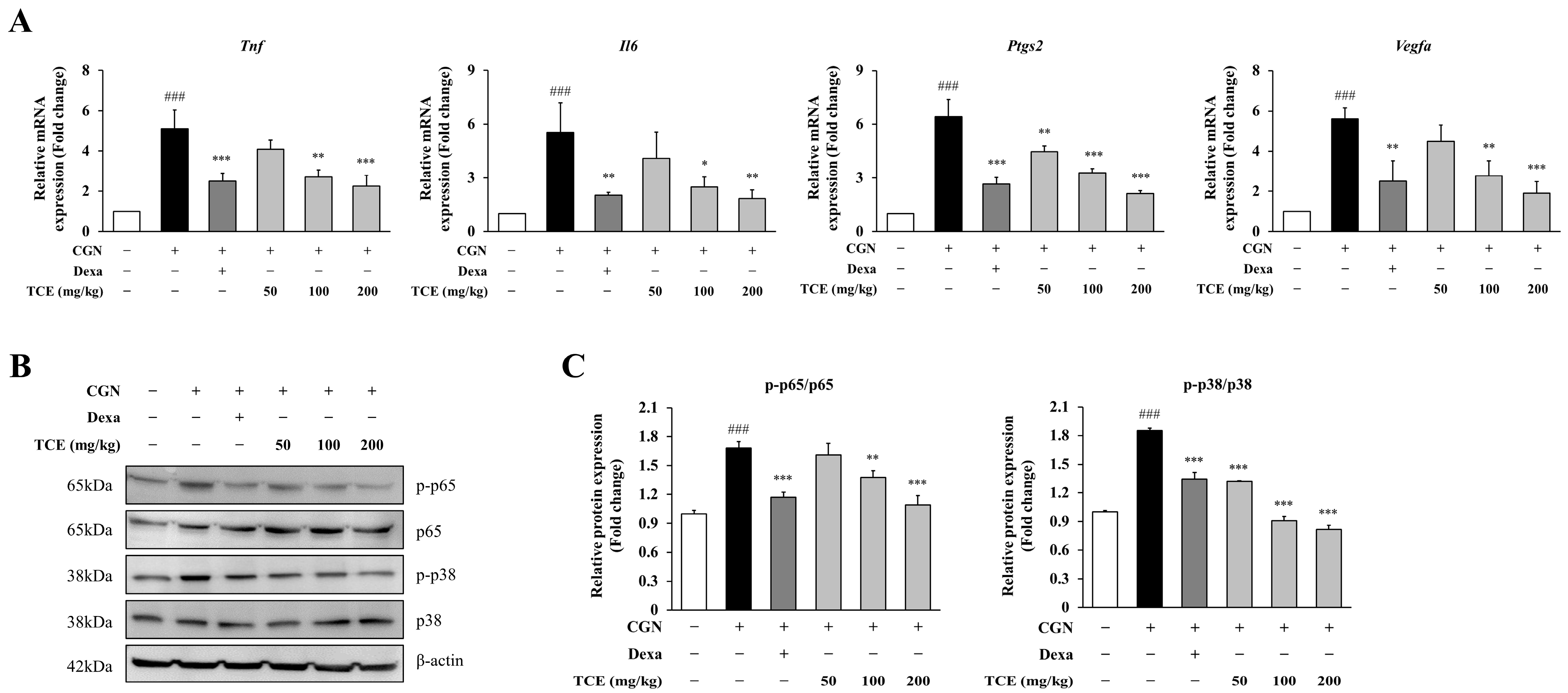 Ijms 26 09965 g006 Ijms 26 09965 g006