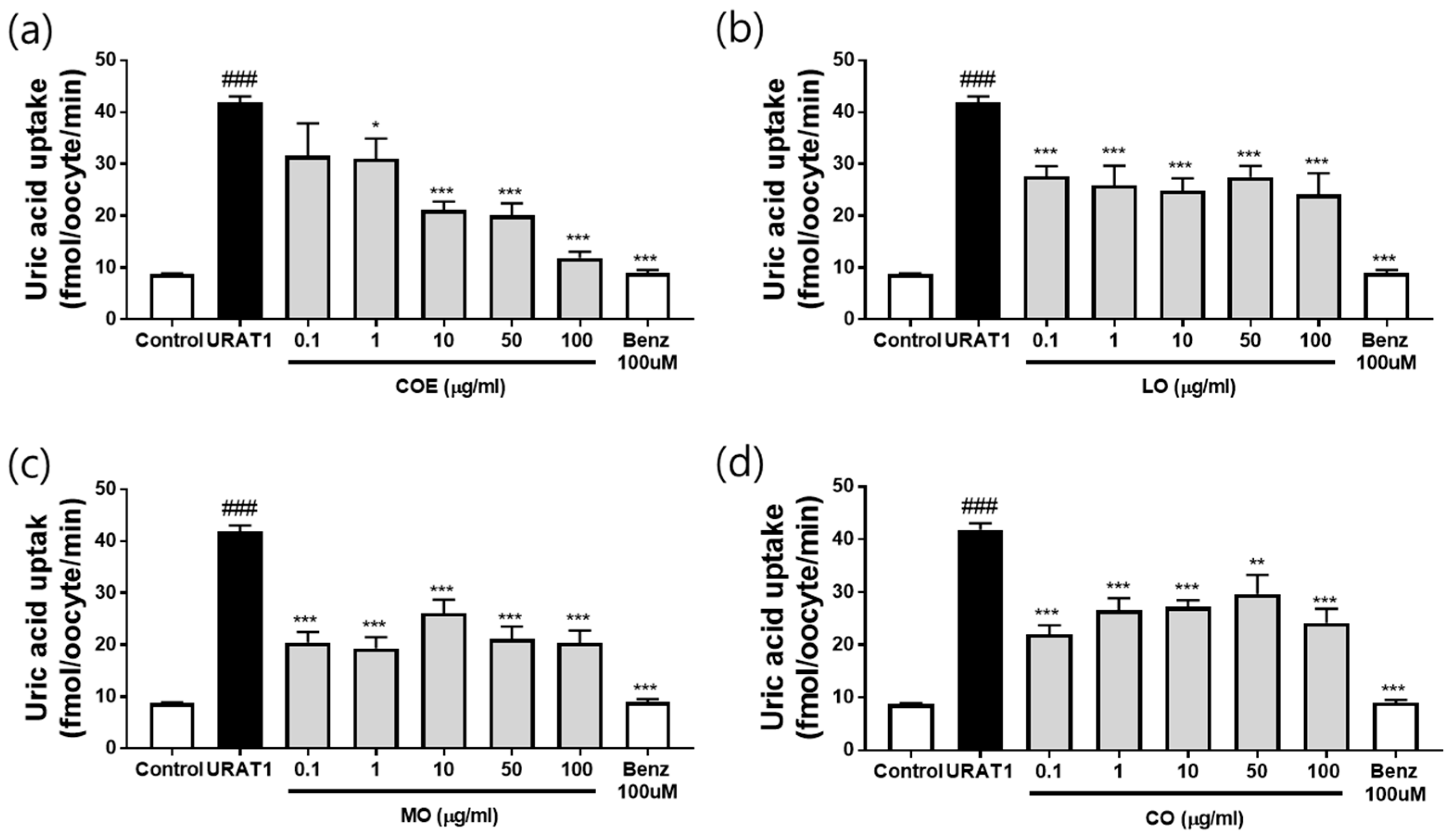 Ijms 26 09980 g003 Ijms 26 09980 g003