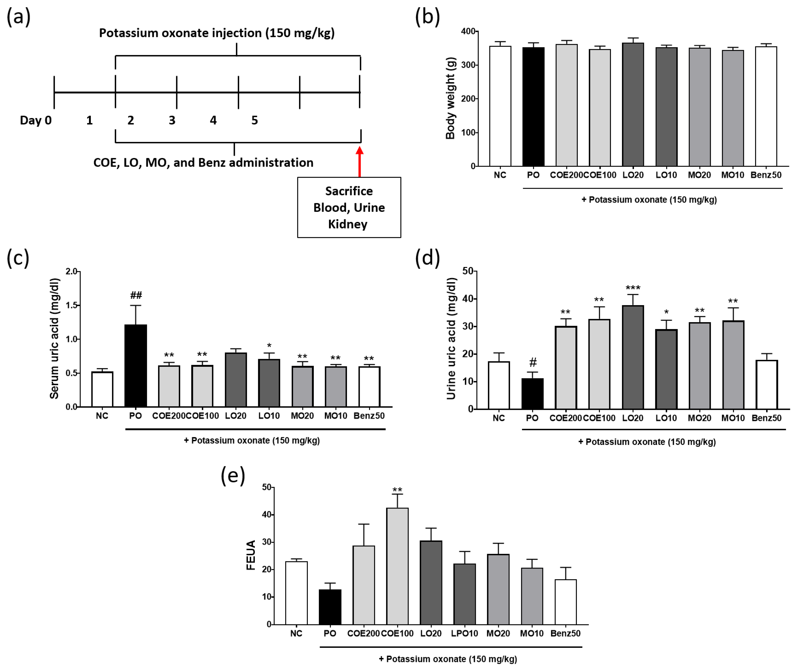 Ijms 26 09980 g004 Ijms 26 09980 g004