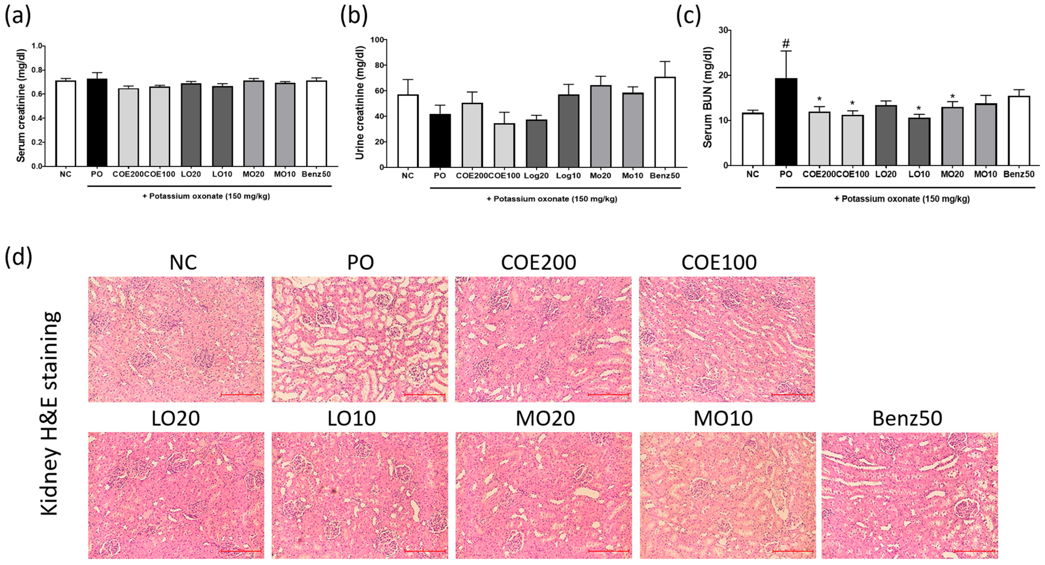Ijms 26 09980 g005 Ijms 26 09980 g005