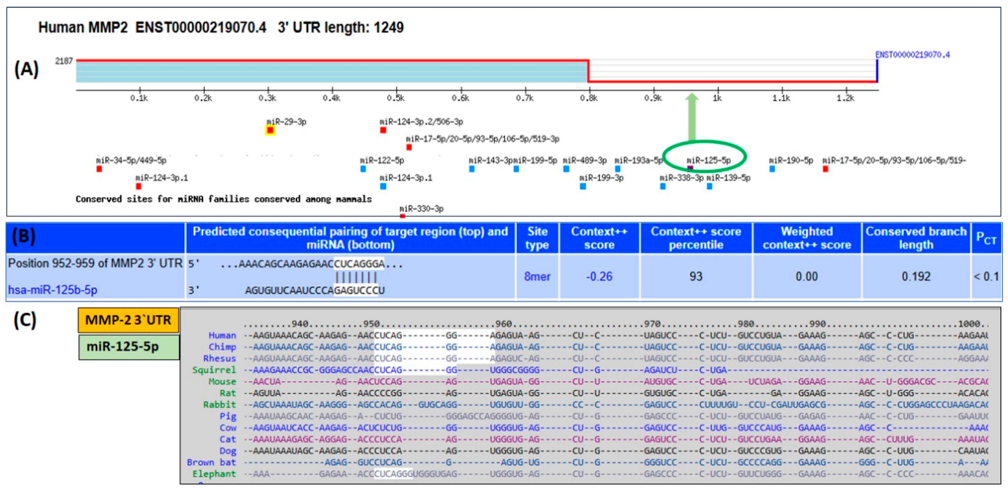 Ijms 26 09983 g001 Ijms 26 09983 g001