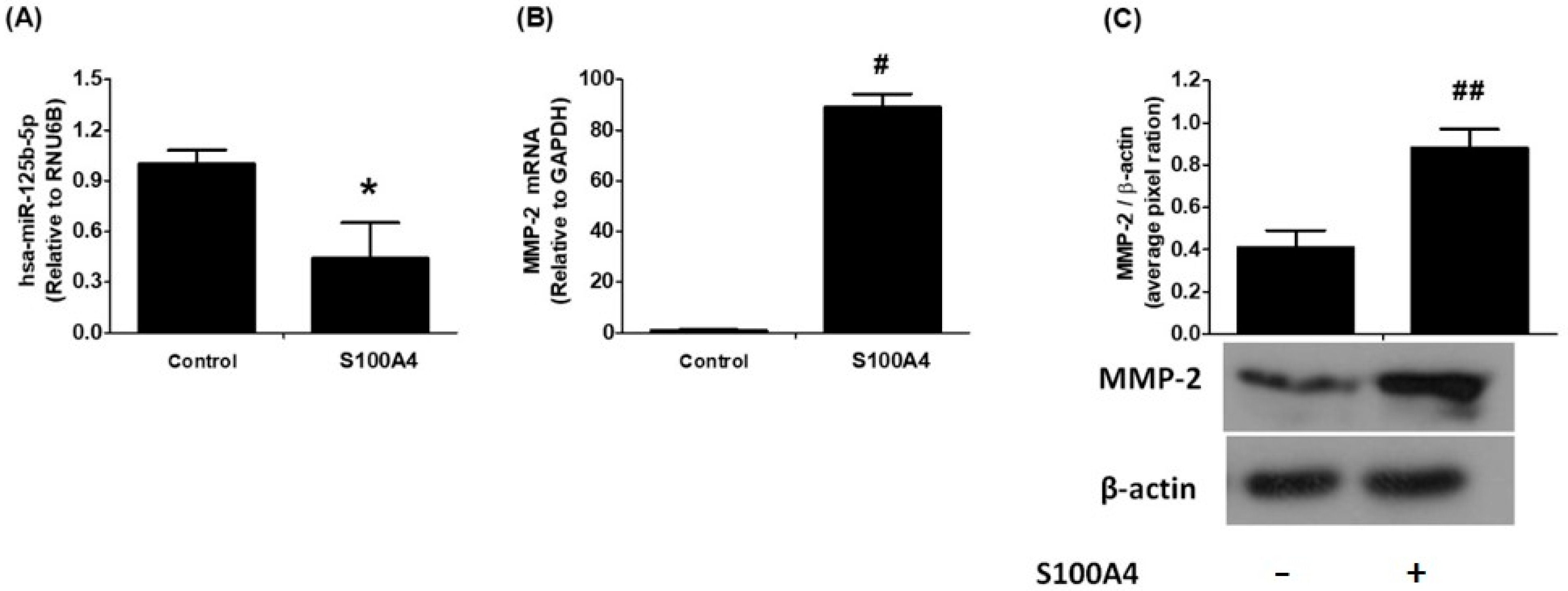 Ijms 26 09983 g002 Ijms 26 09983 g002