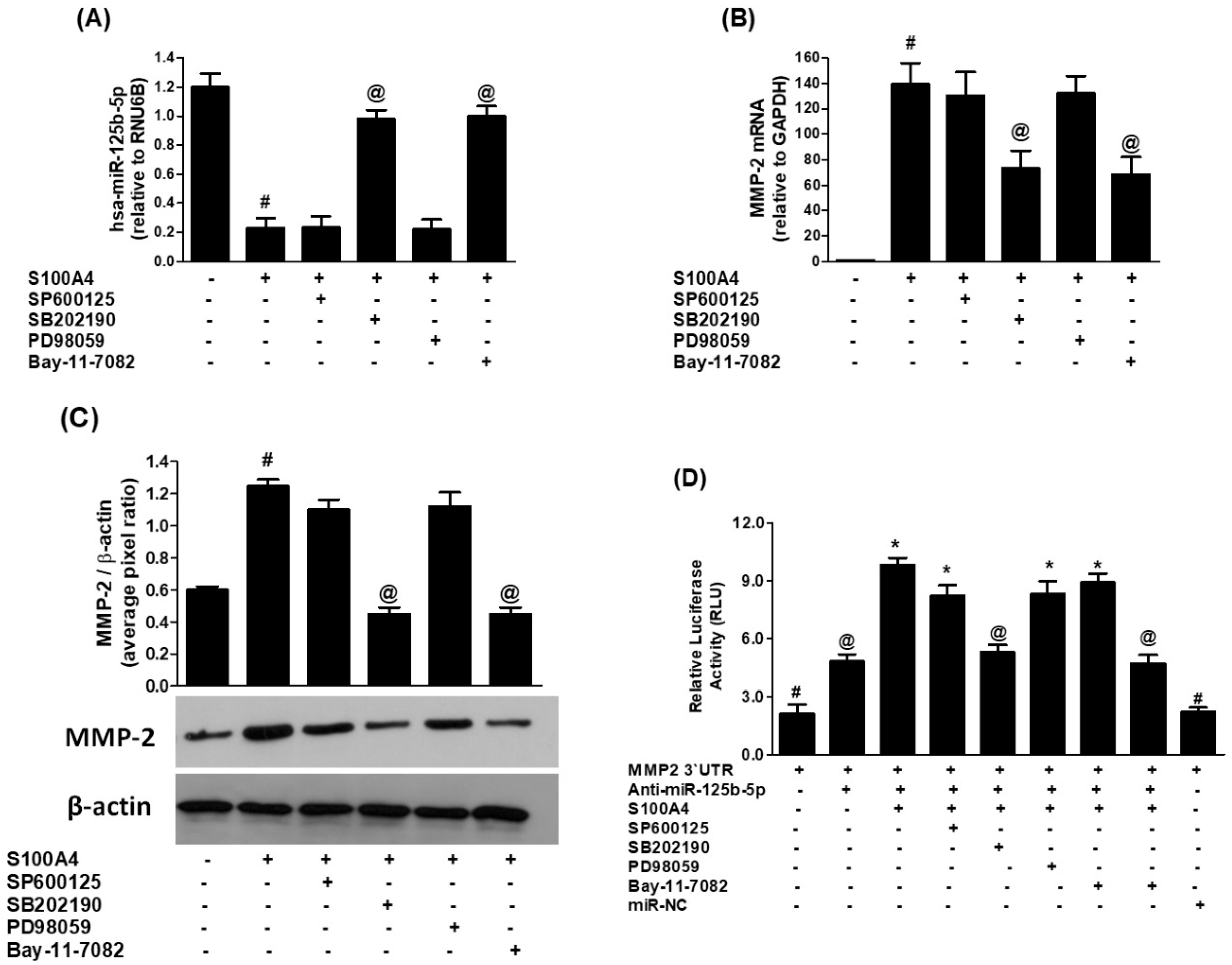 Ijms 26 09983 g004 Ijms 26 09983 g004