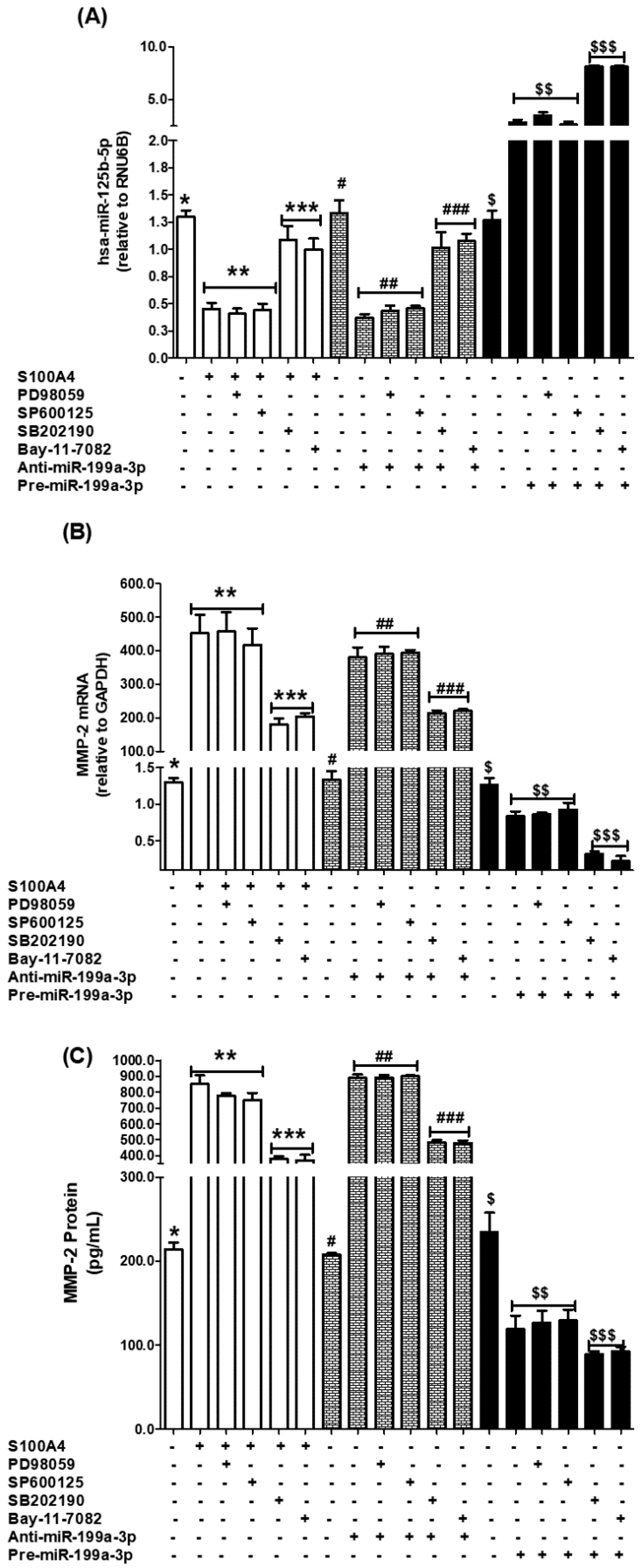 Ijms 26 09983 g006 Ijms 26 09983 g006
