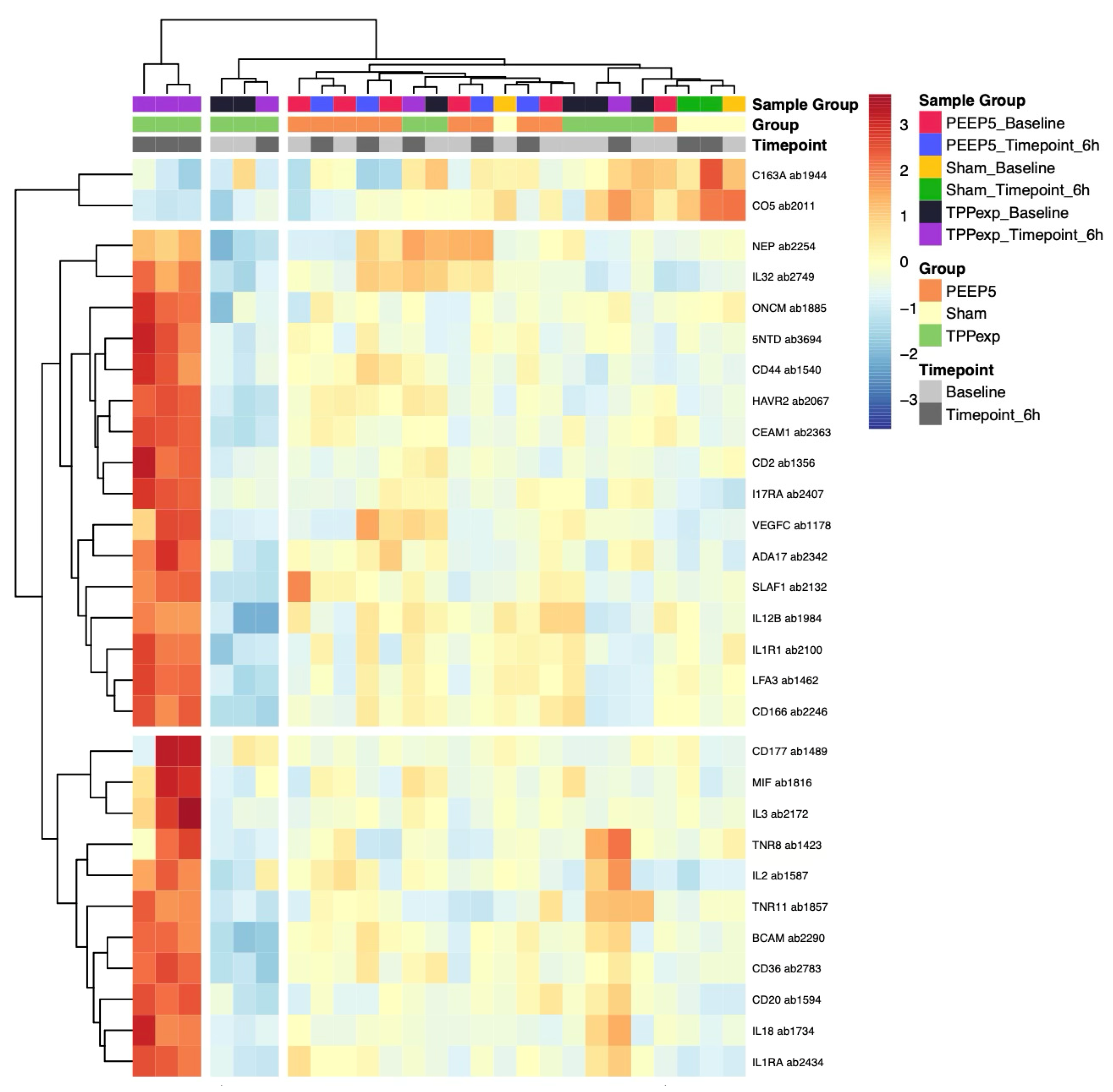 Ijms 26 09985 g007 Ijms 26 09985 g007
