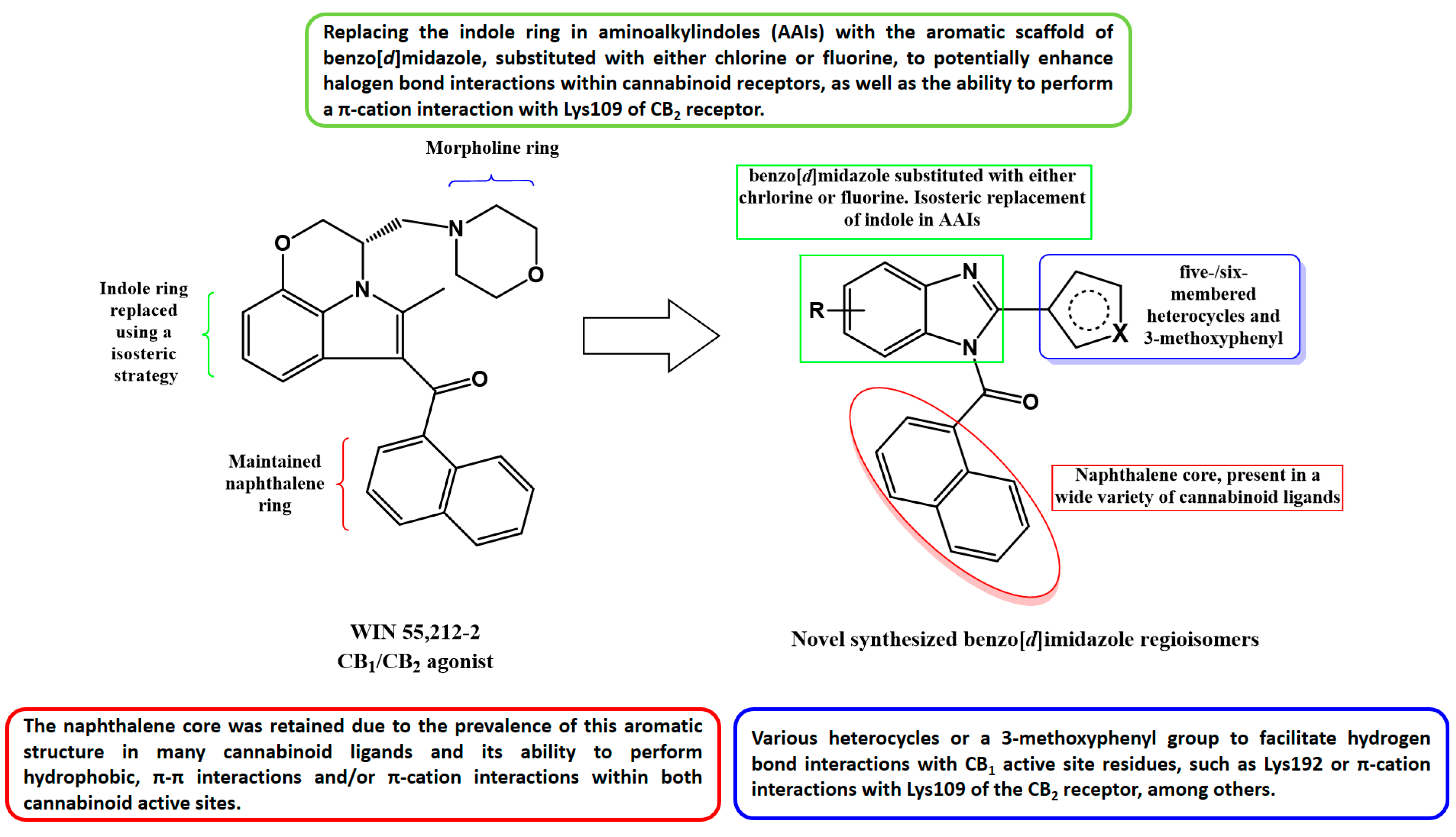 Ijms 26 09986 g001 Ijms 26 09986 g001