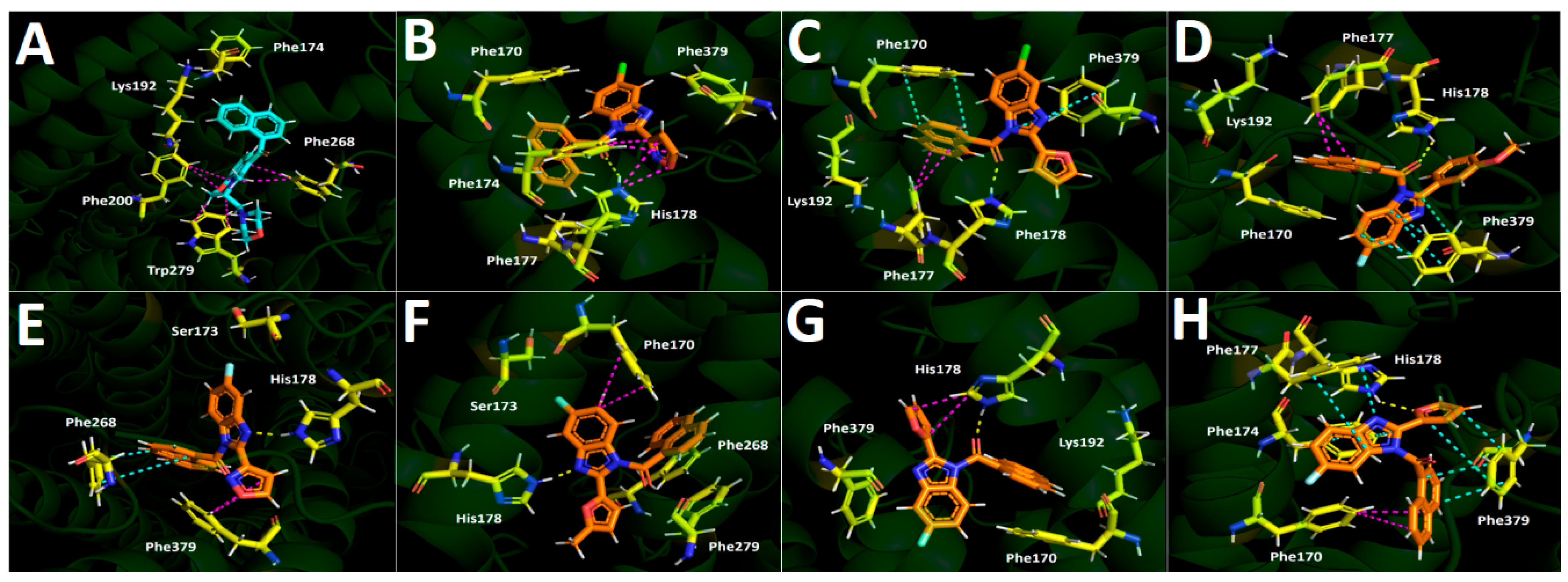 Ijms 26 09986 g008 Ijms 26 09986 g008