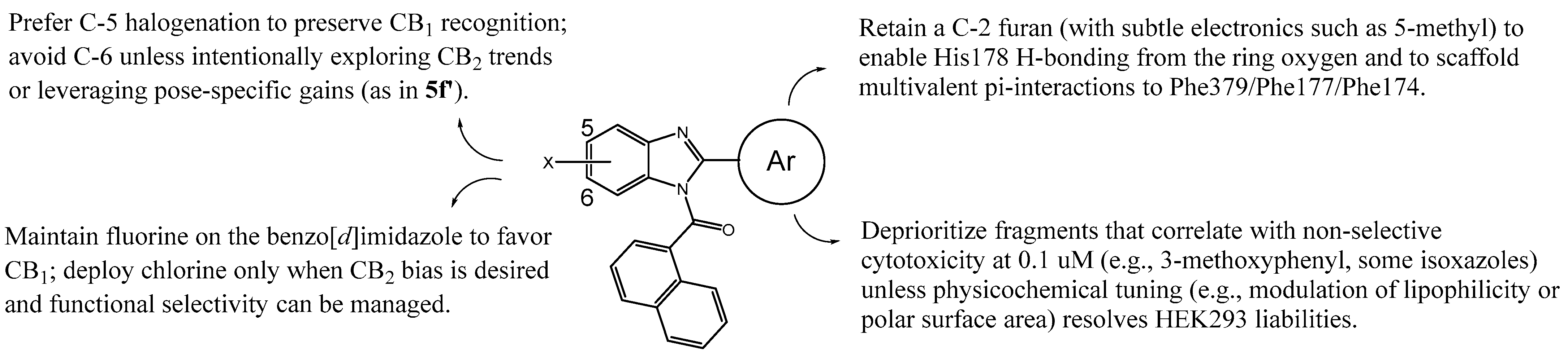 Ijms 26 09986 g009 Ijms 26 09986 g009