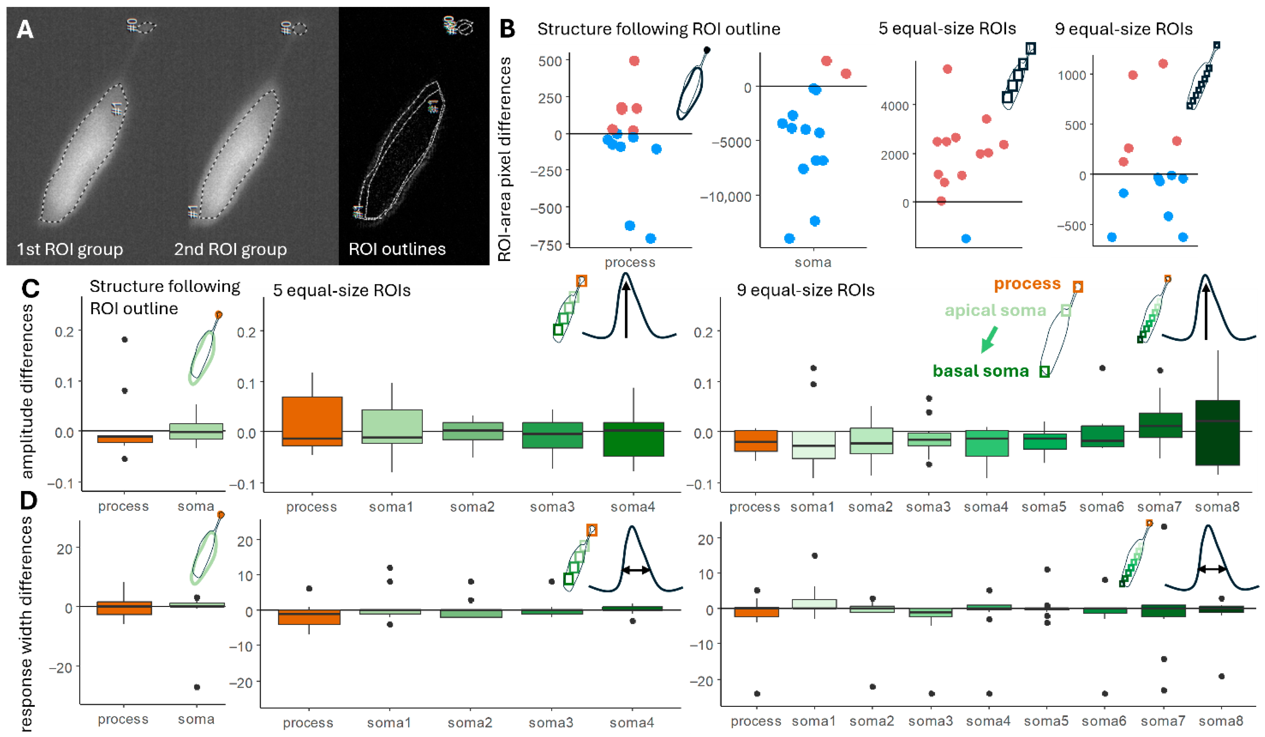 Ijms 26 09987 g001 Ijms 26 09987 g001