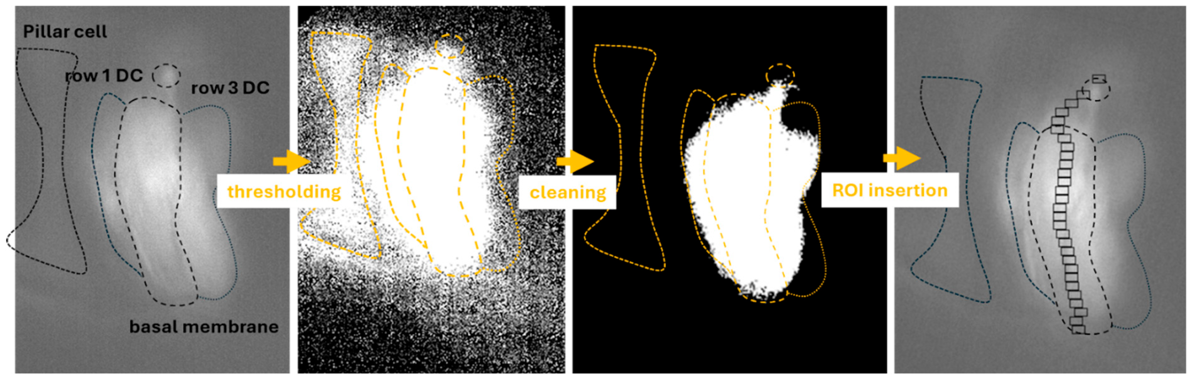 Ijms 26 09987 g003 Ijms 26 09987 g003