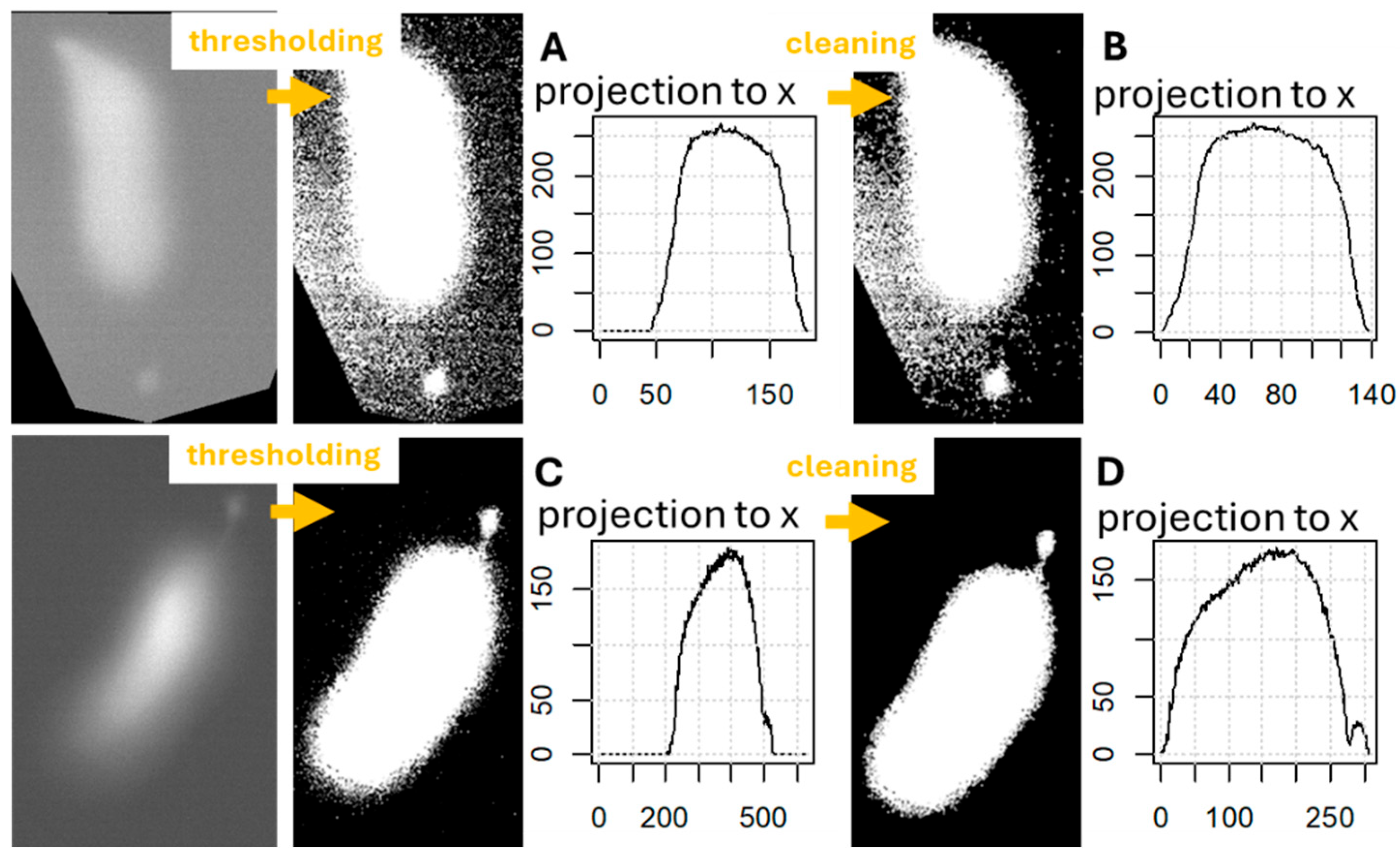 Ijms 26 09987 g004 Ijms 26 09987 g004