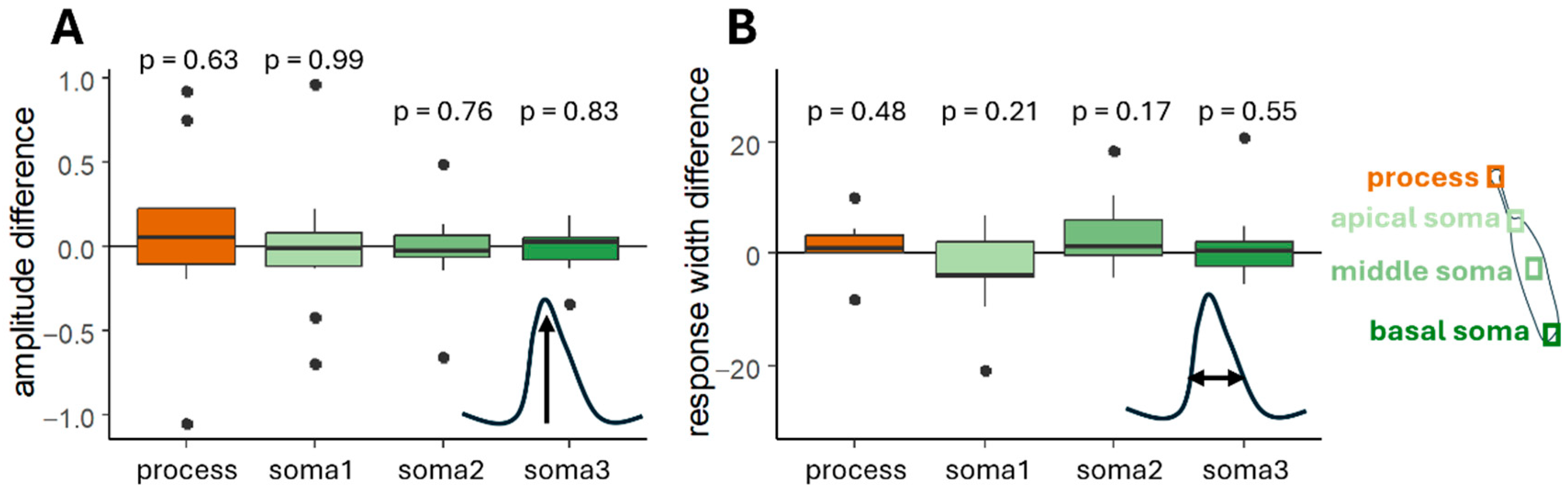 Ijms 26 09987 g006 Ijms 26 09987 g006