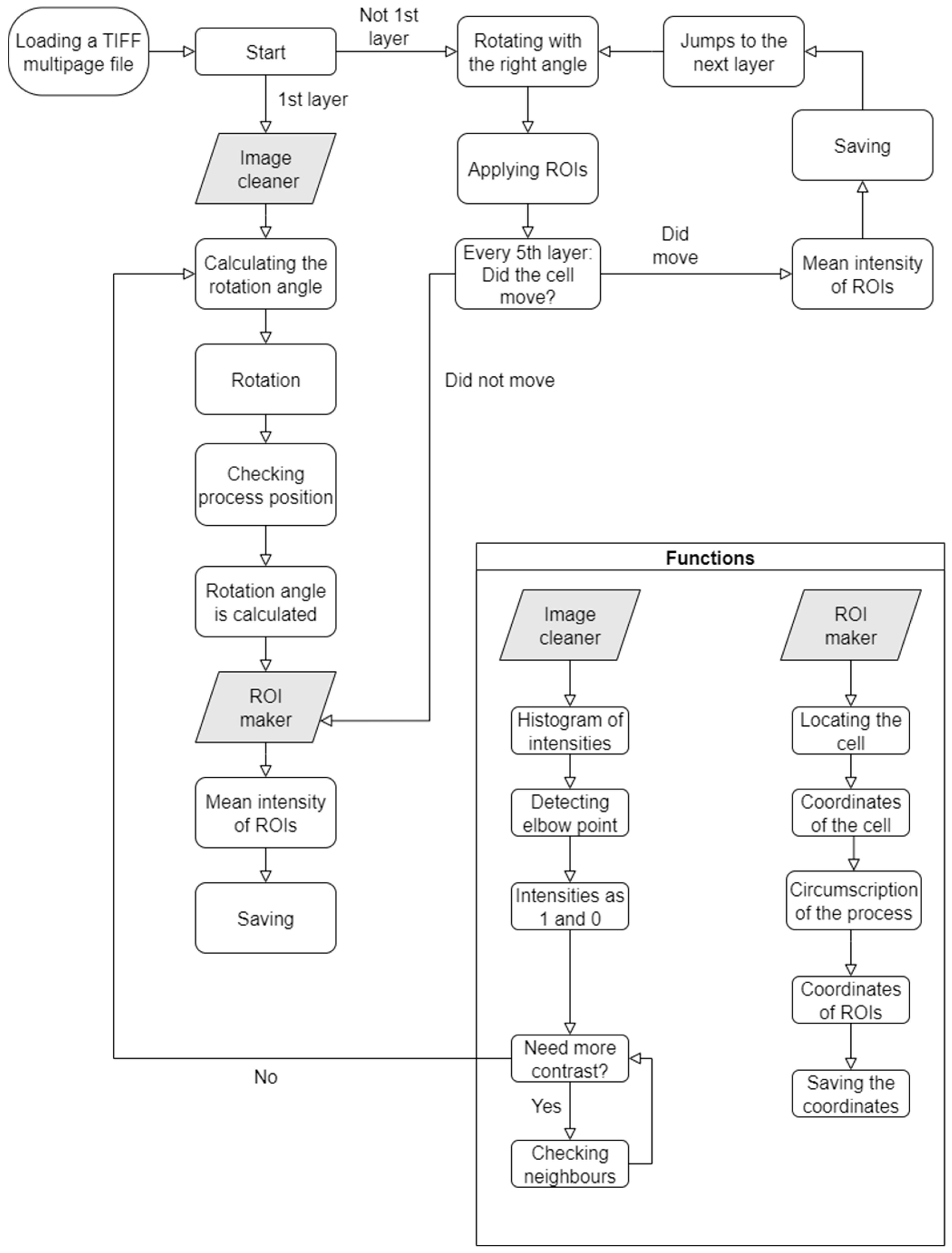 Ijms 26 09987 g008 Ijms 26 09987 g008