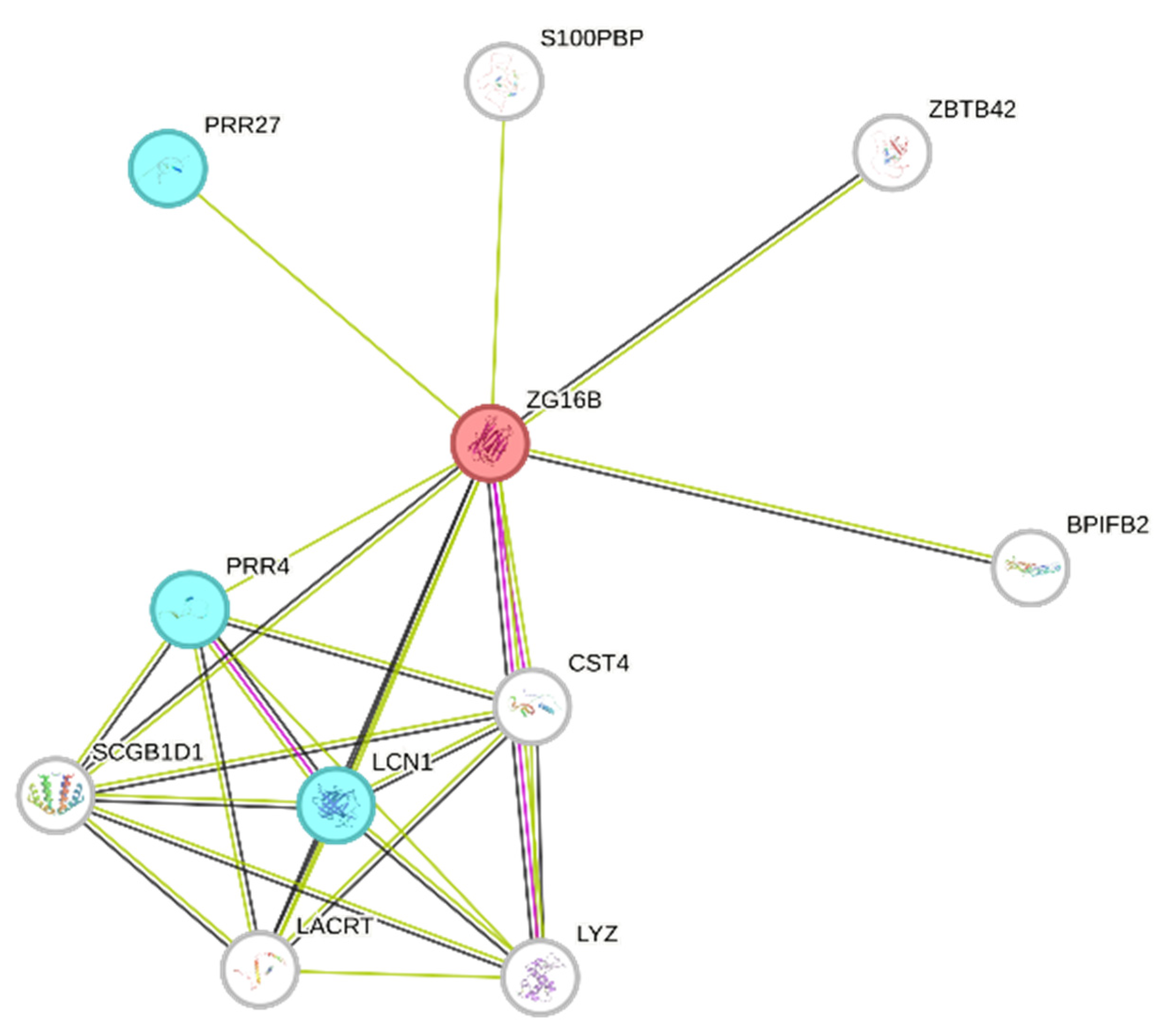 Ijms 26 09995 g007 Ijms 26 09995 g007