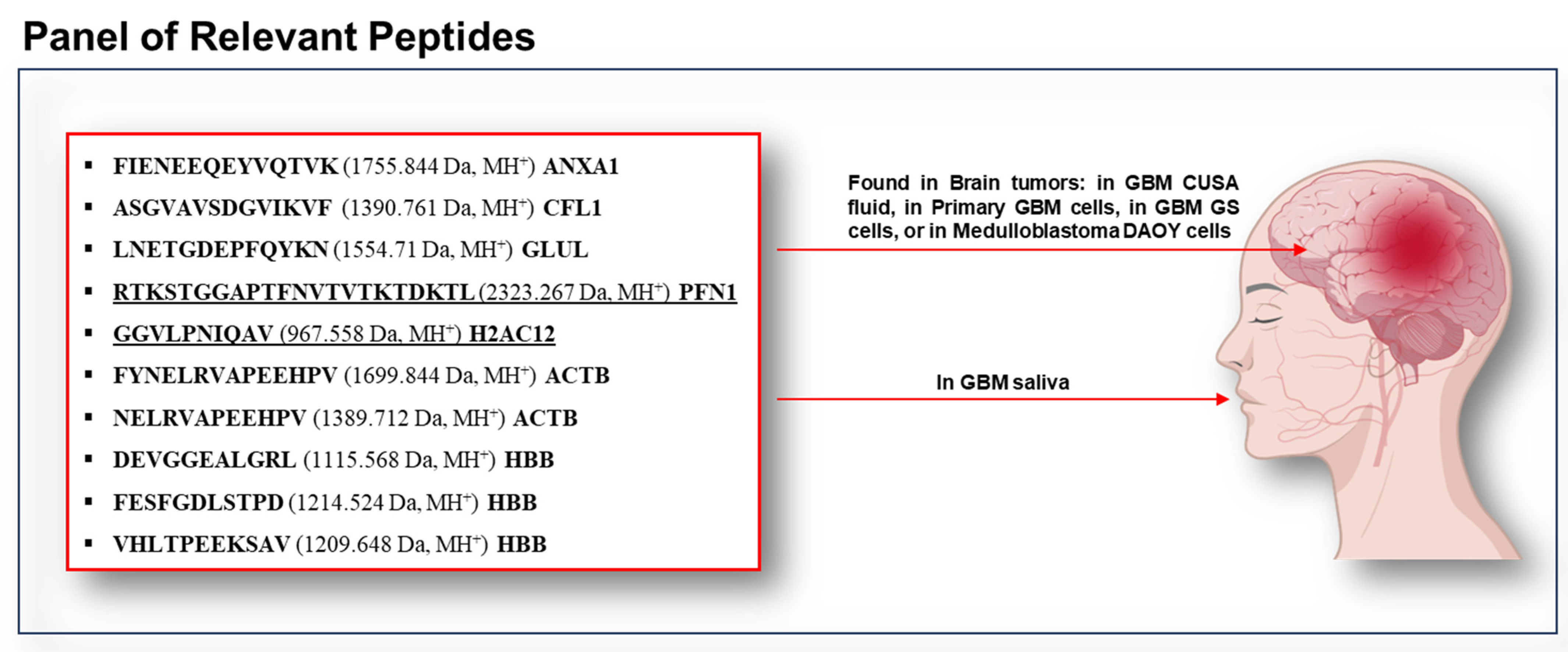 Ijms 26 09995 g009 Ijms 26 09995 g009