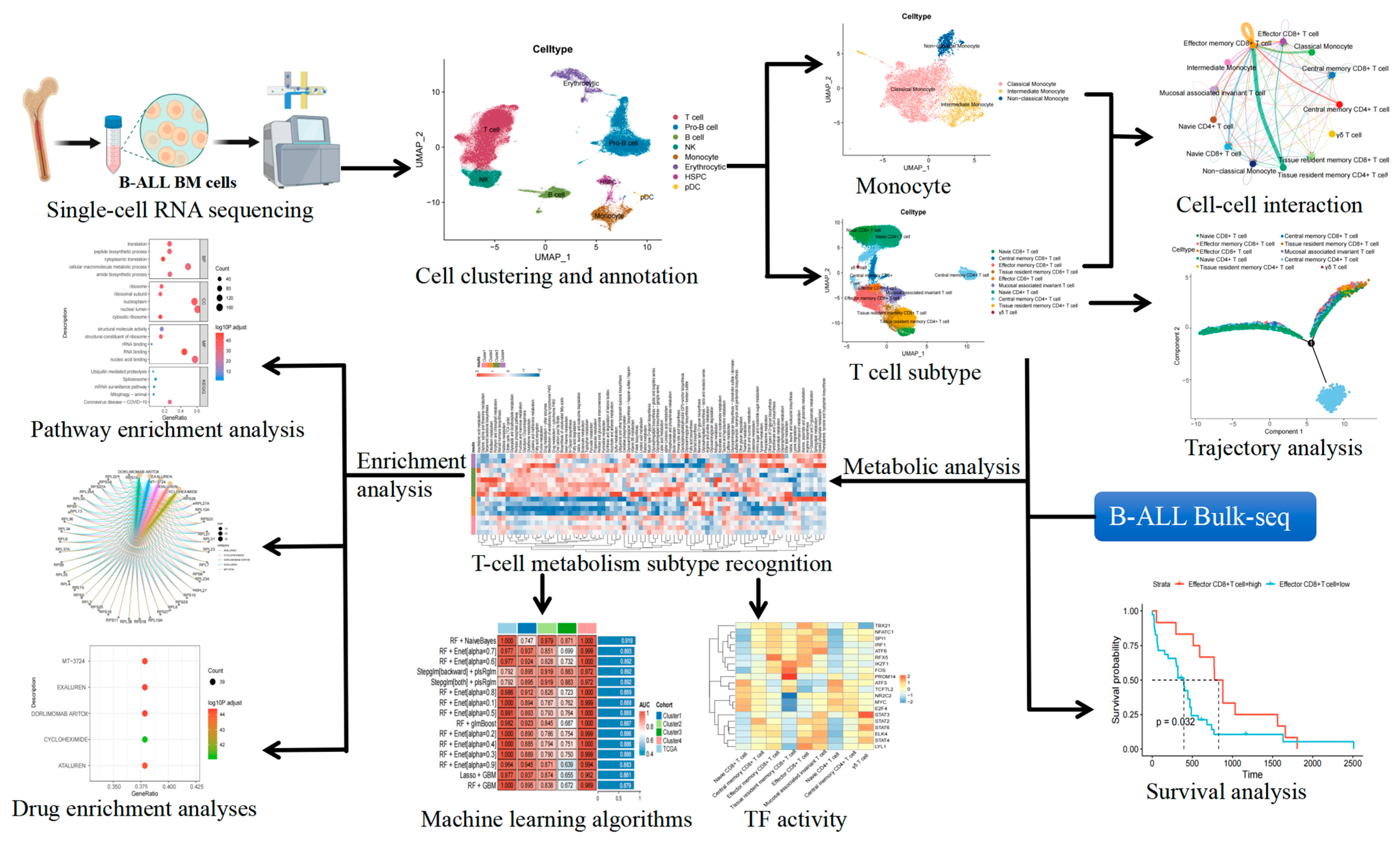 Ijms 26 09996 g001 Ijms 26 09996 g001