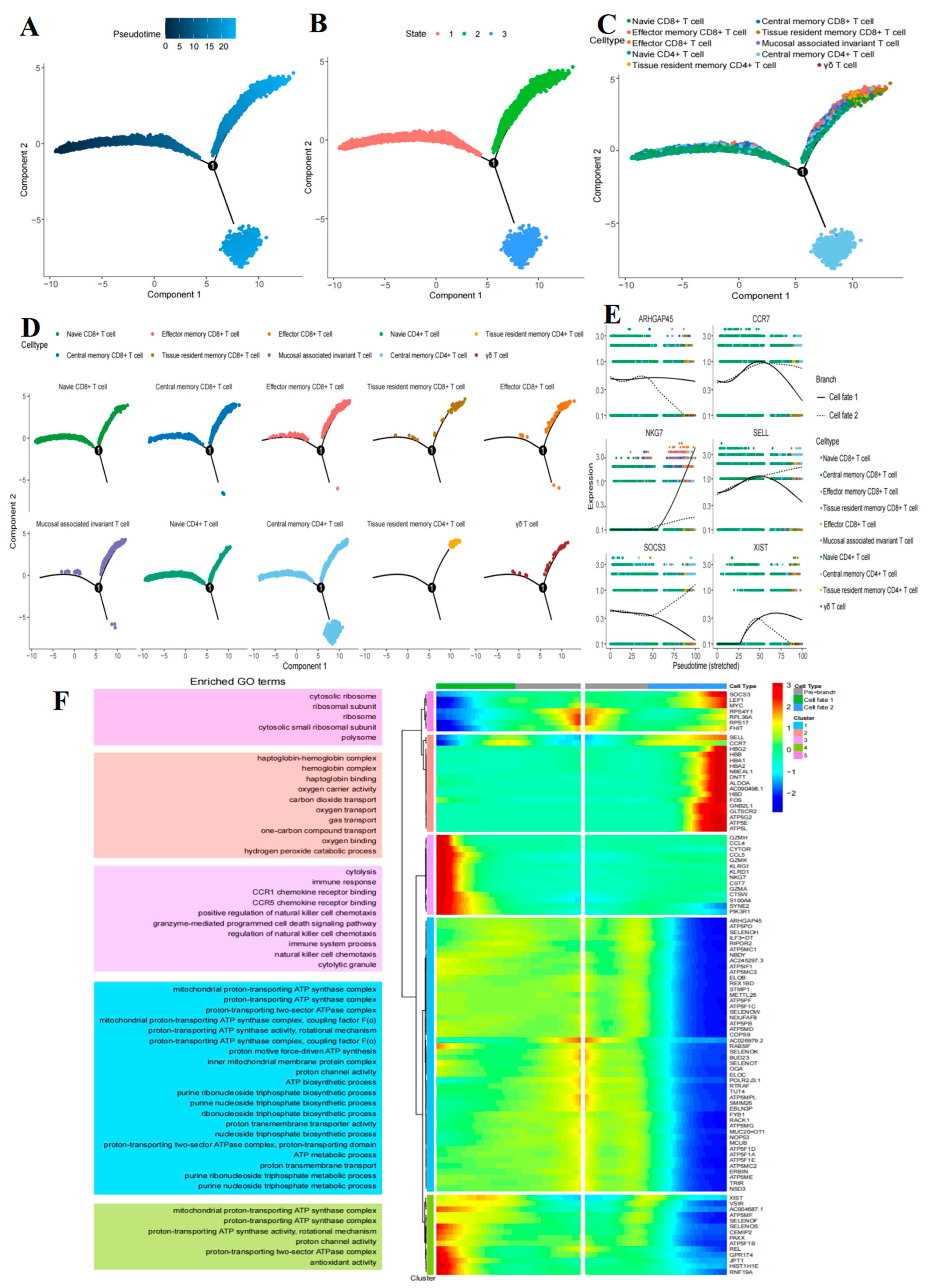 Ijms 26 09996 g004 Ijms 26 09996 g004