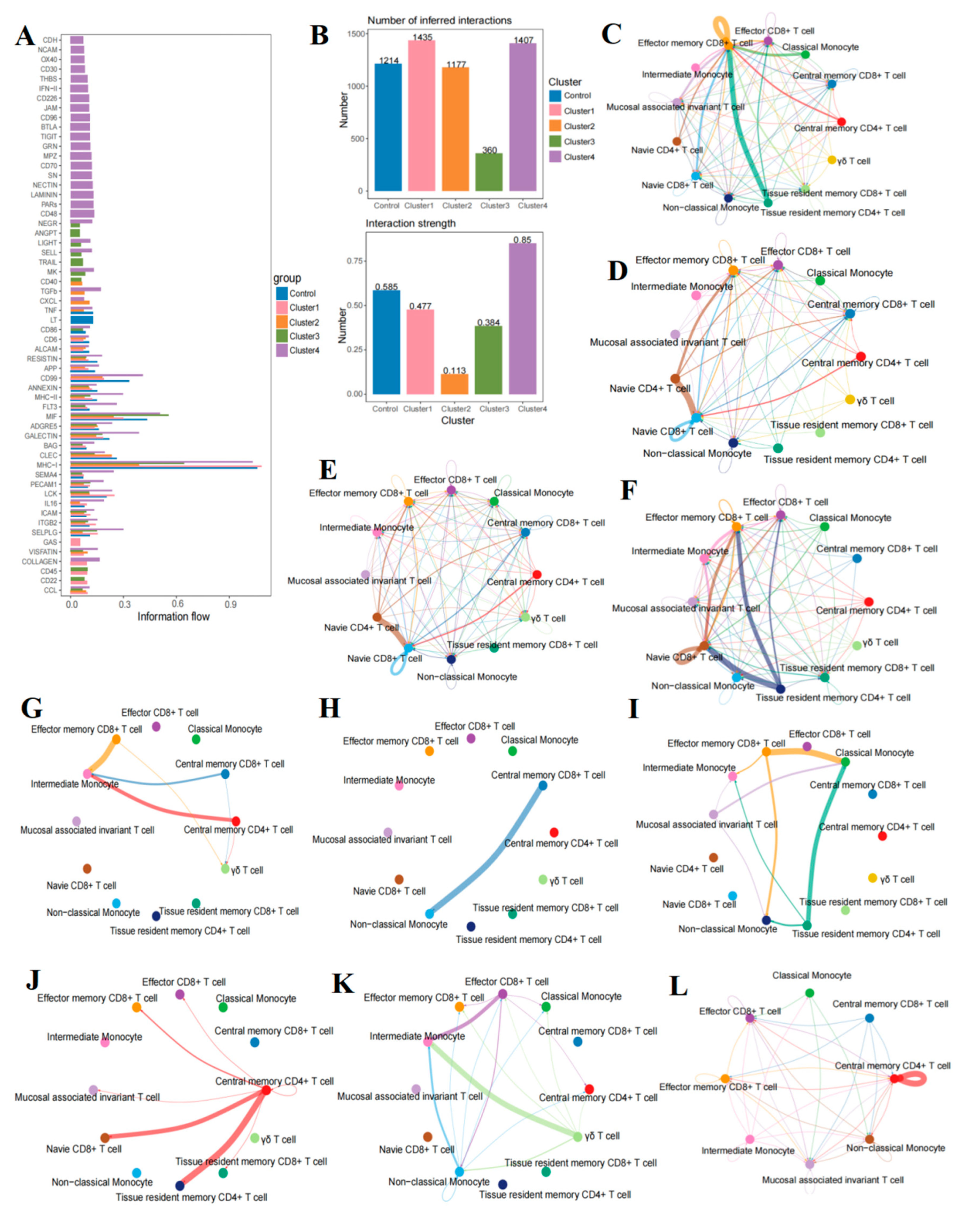 Ijms 26 09996 g007 Ijms 26 09996 g007