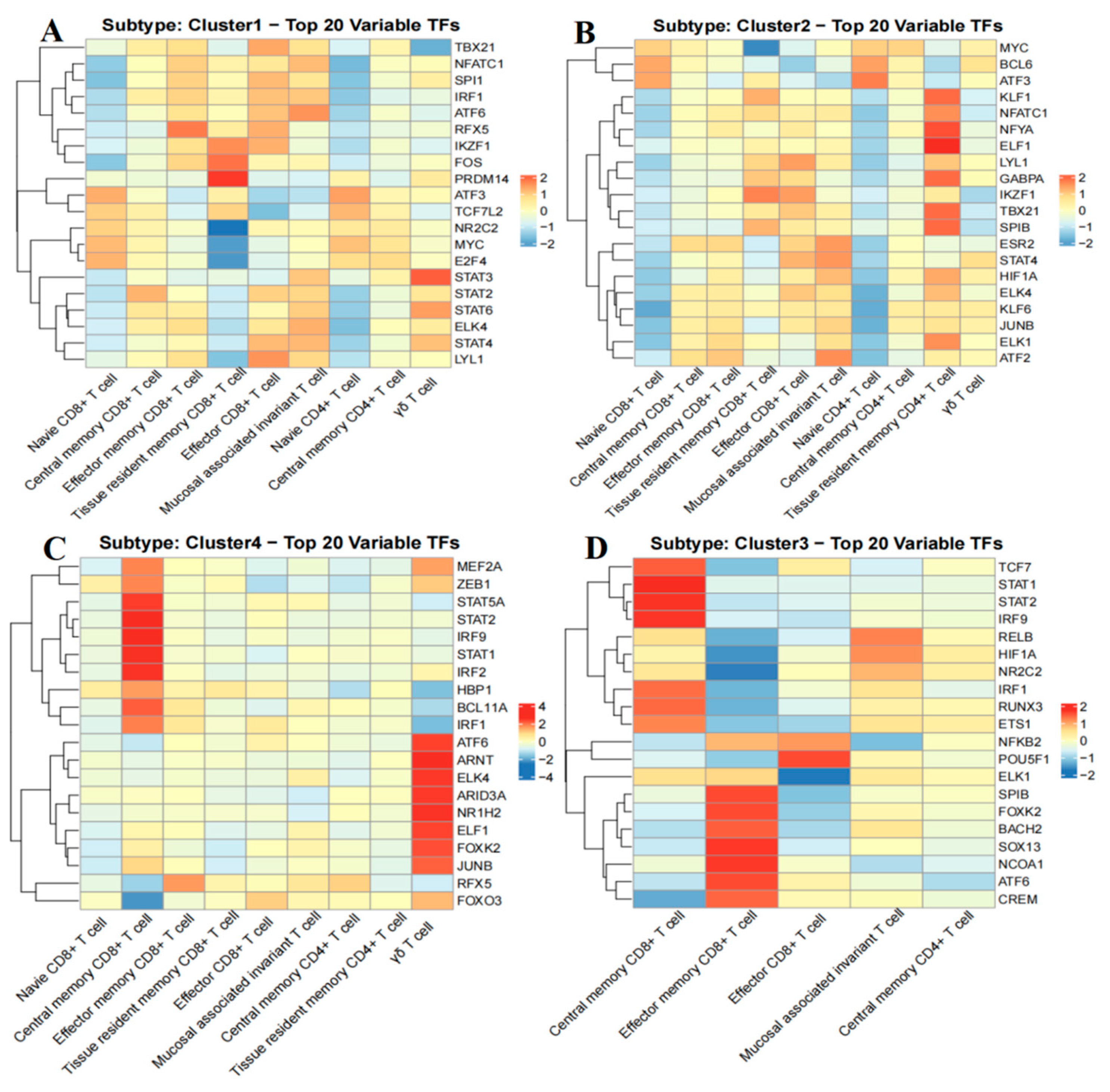 Ijms 26 09996 g008 Ijms 26 09996 g008