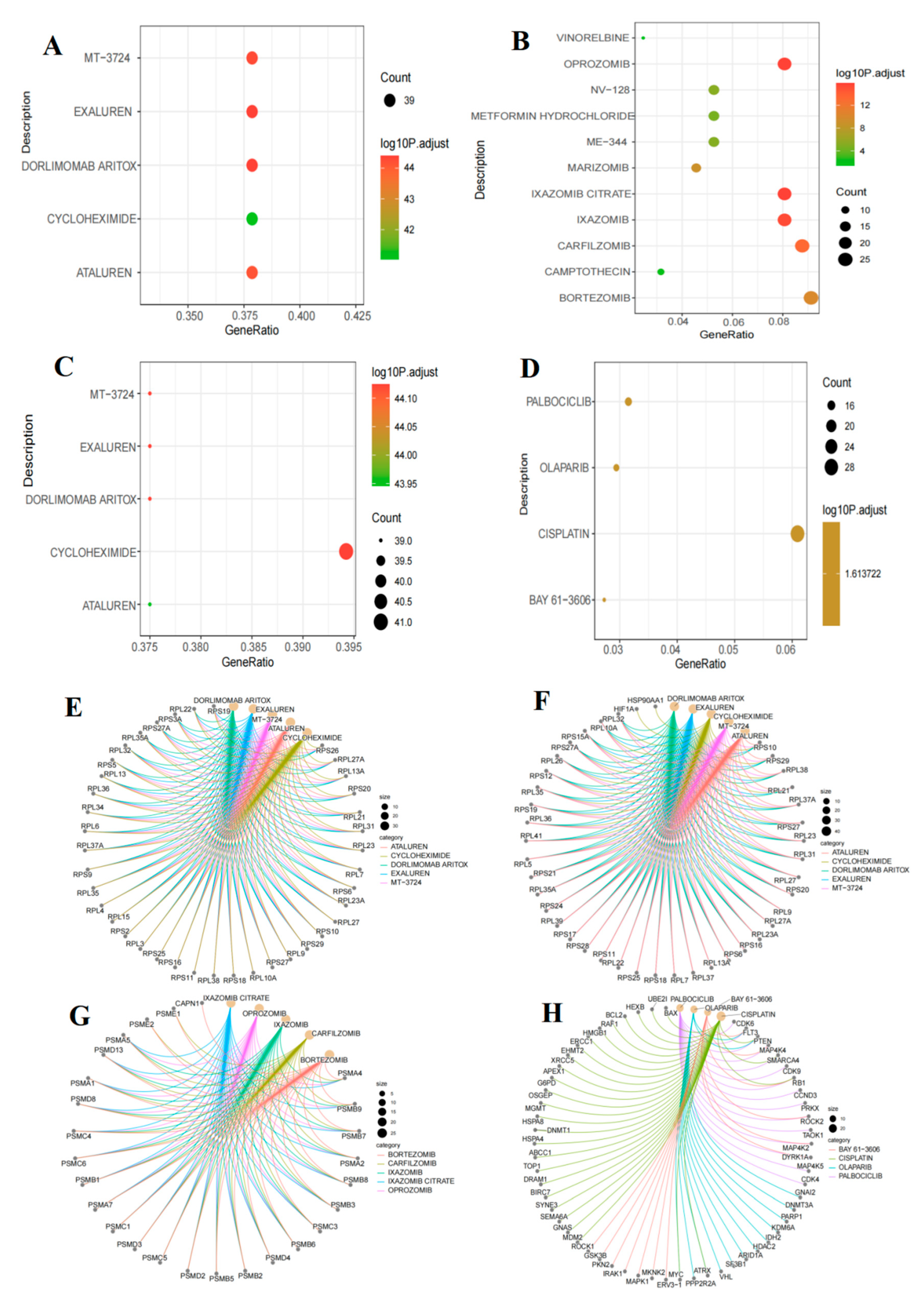 Ijms 26 09996 g010 Ijms 26 09996 g010