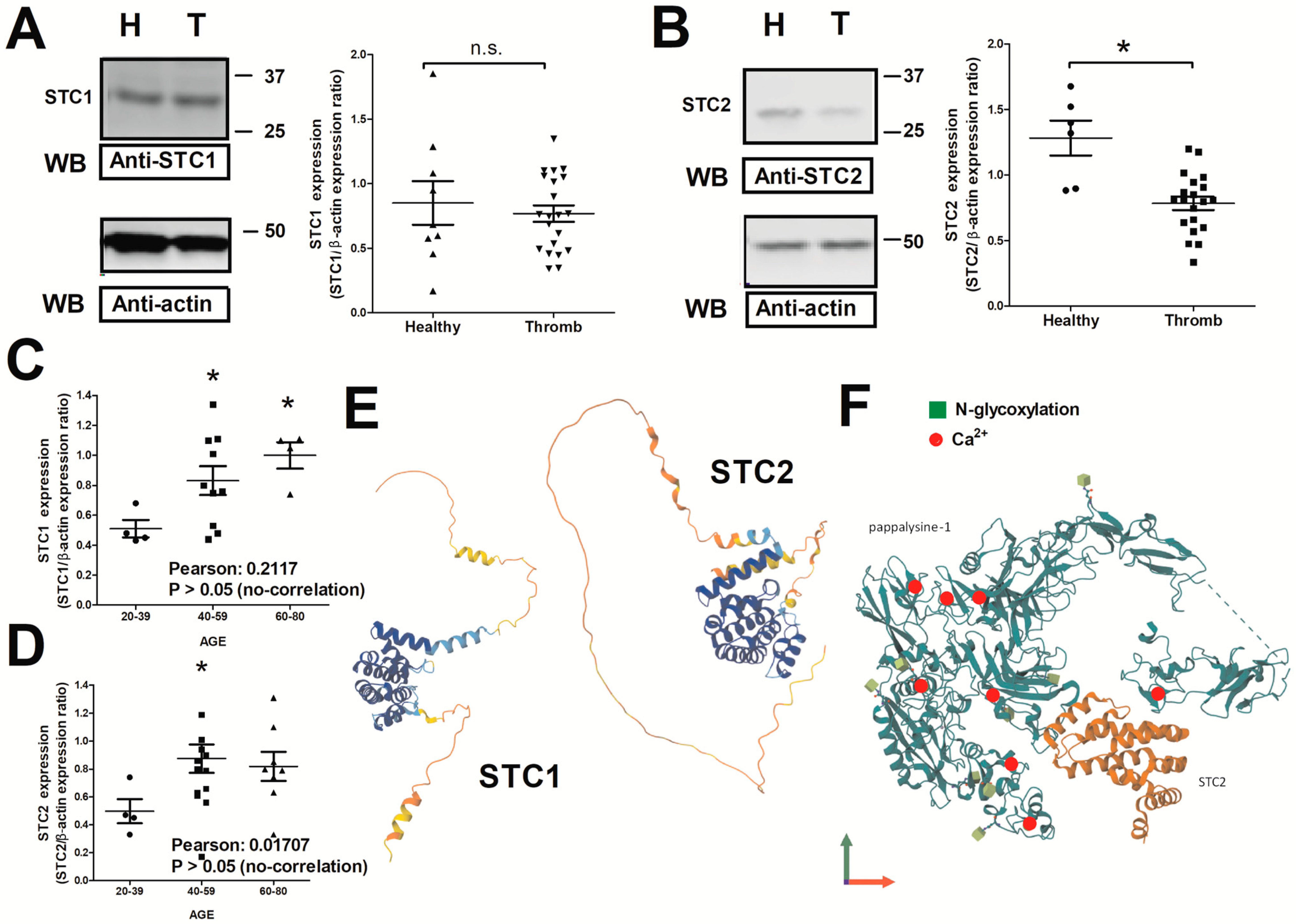 Ijms 26 09999 g001 Ijms 26 09999 g001