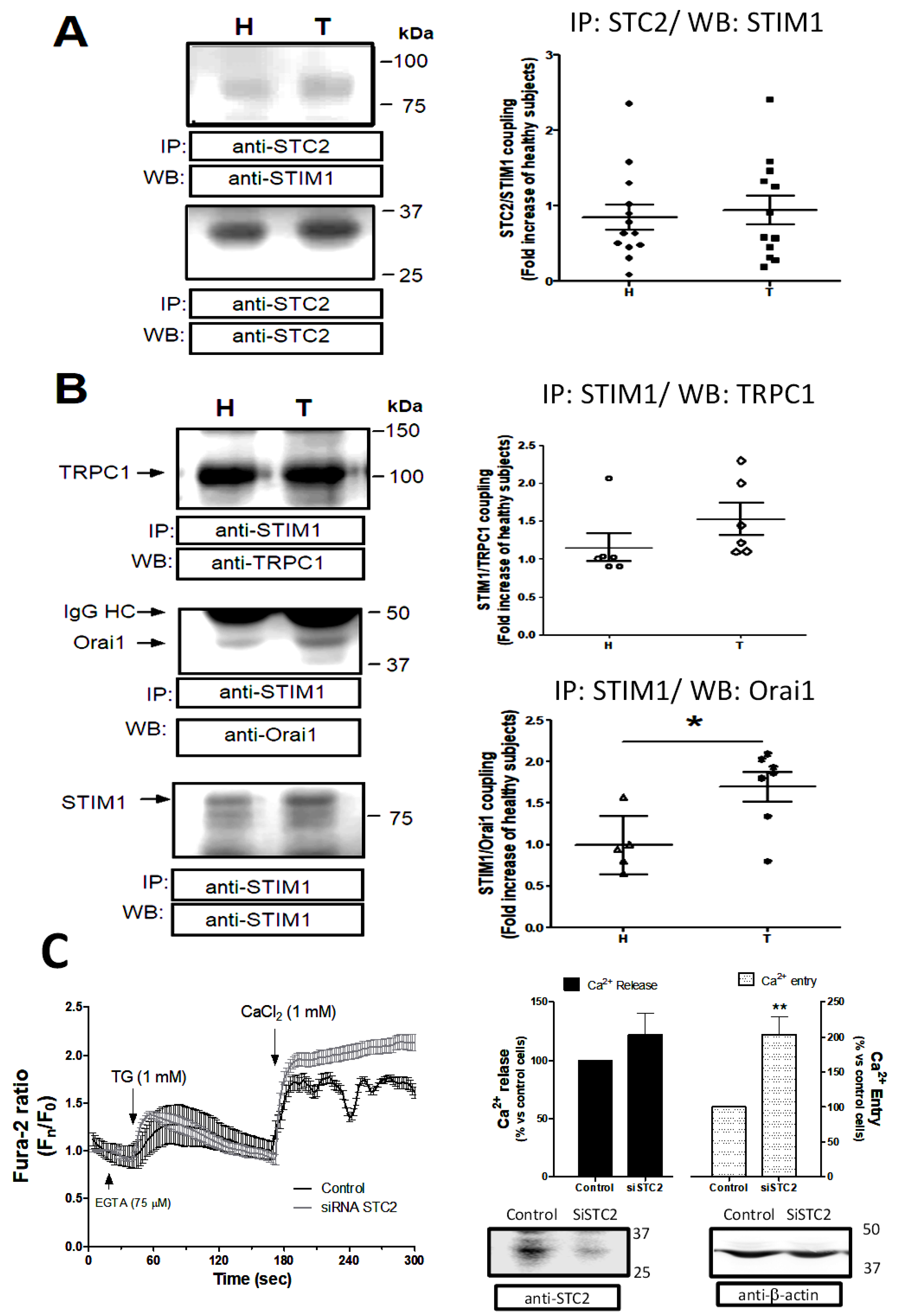 Ijms 26 09999 g005 Ijms 26 09999 g005