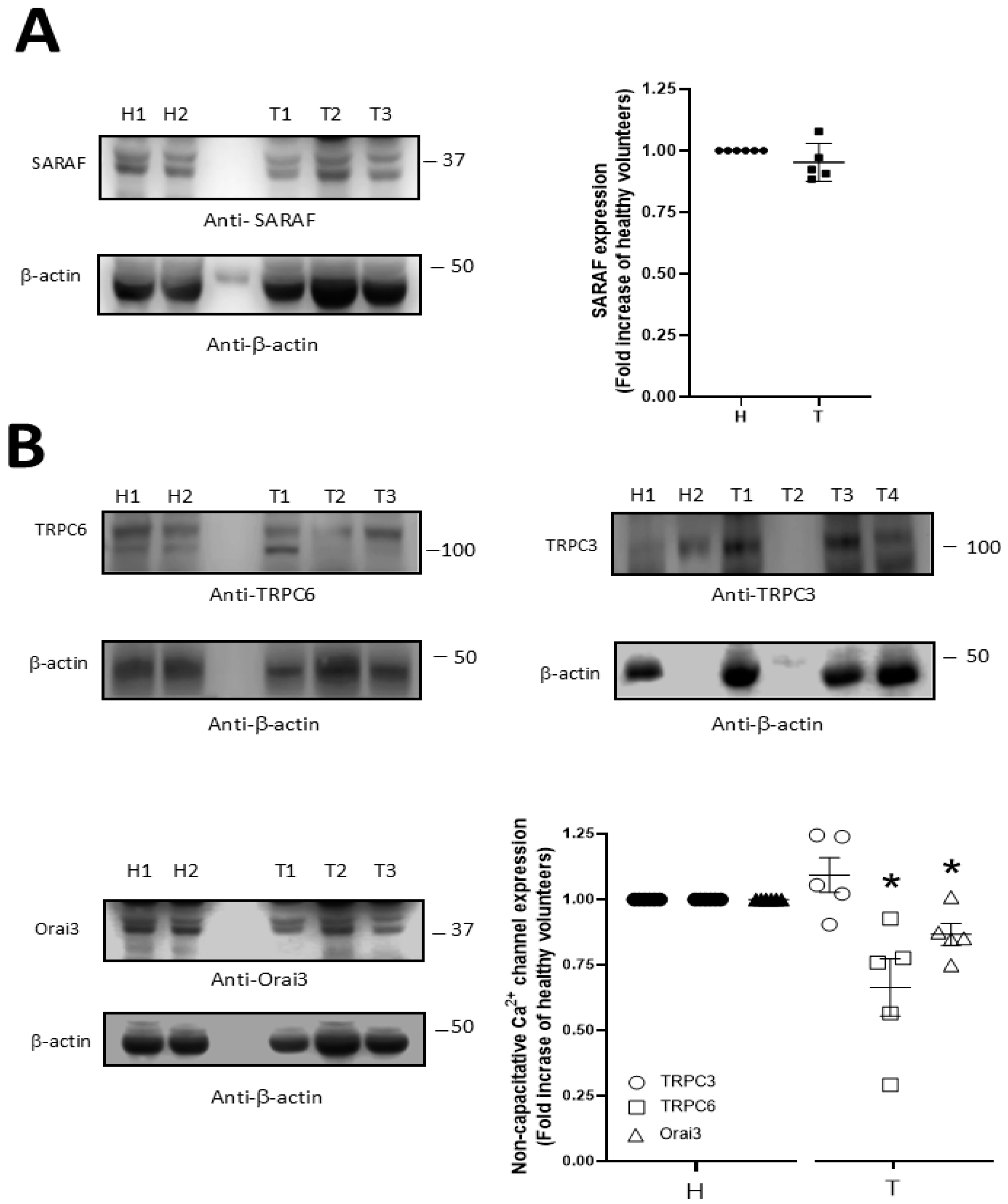Ijms 26 09999 g006 Ijms 26 09999 g006