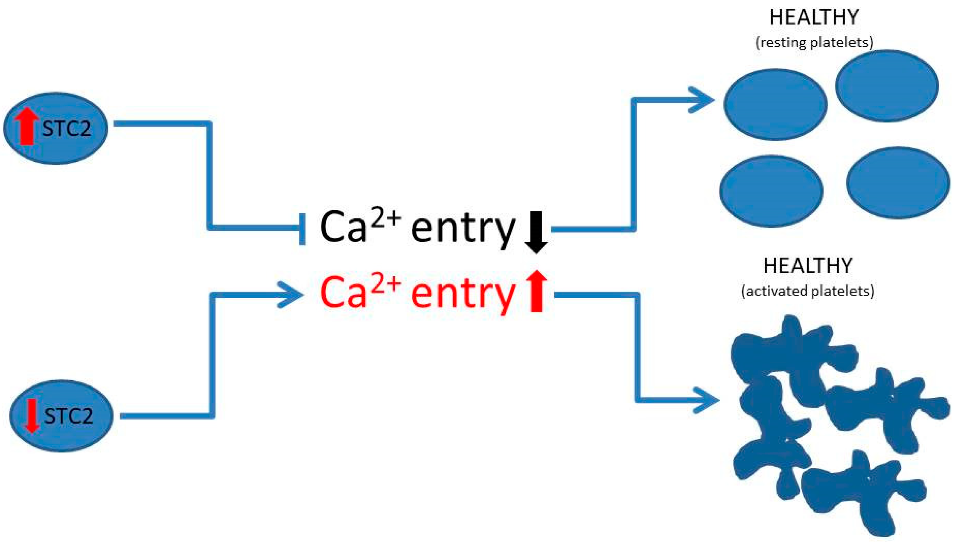 Ijms 26 09999 g007 Ijms 26 09999 g007