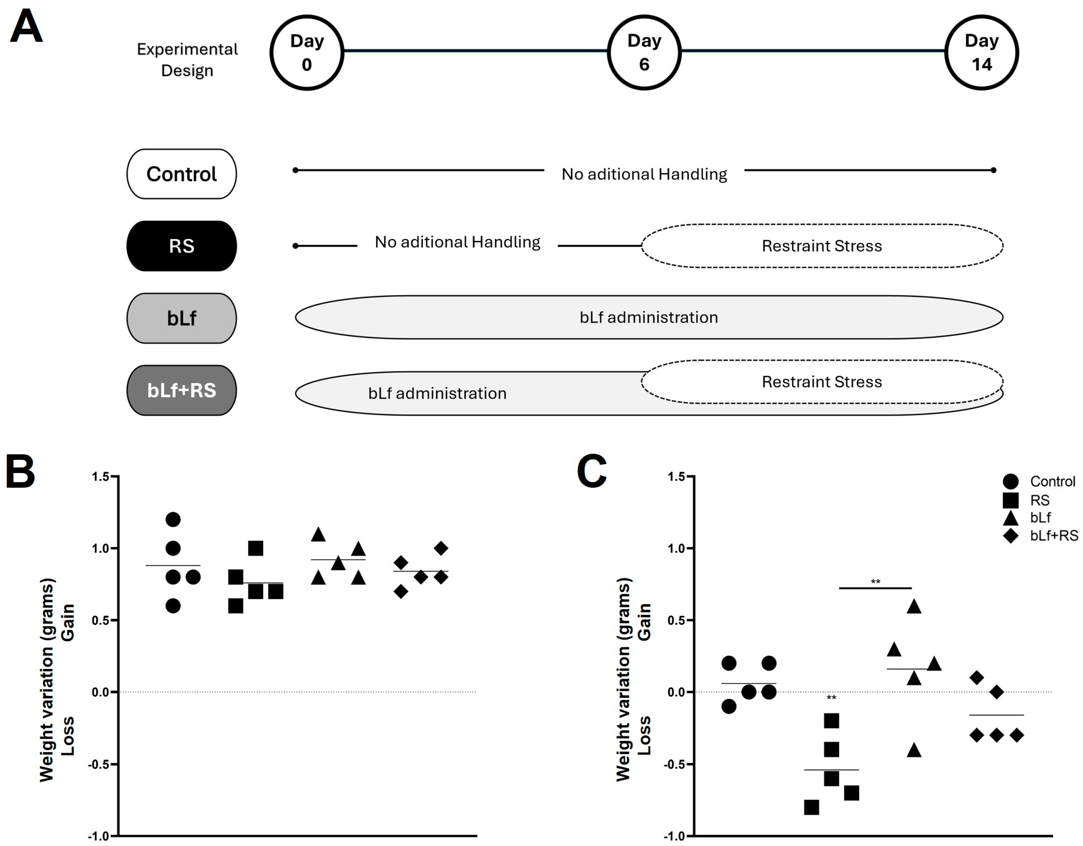 Ijms 26 10000 g001 Ijms 26 10000 g001
