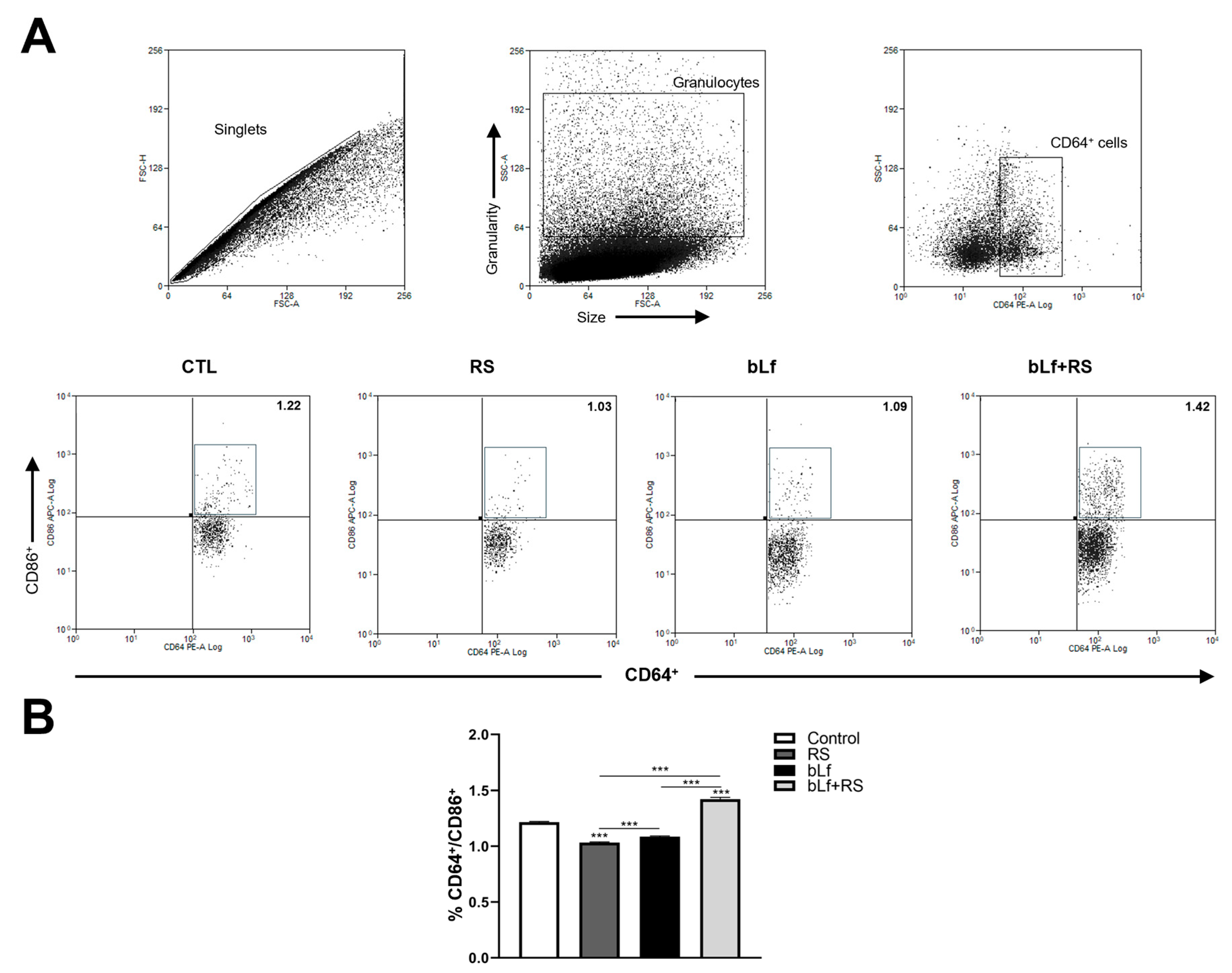 Ijms 26 10000 g006 Ijms 26 10000 g006