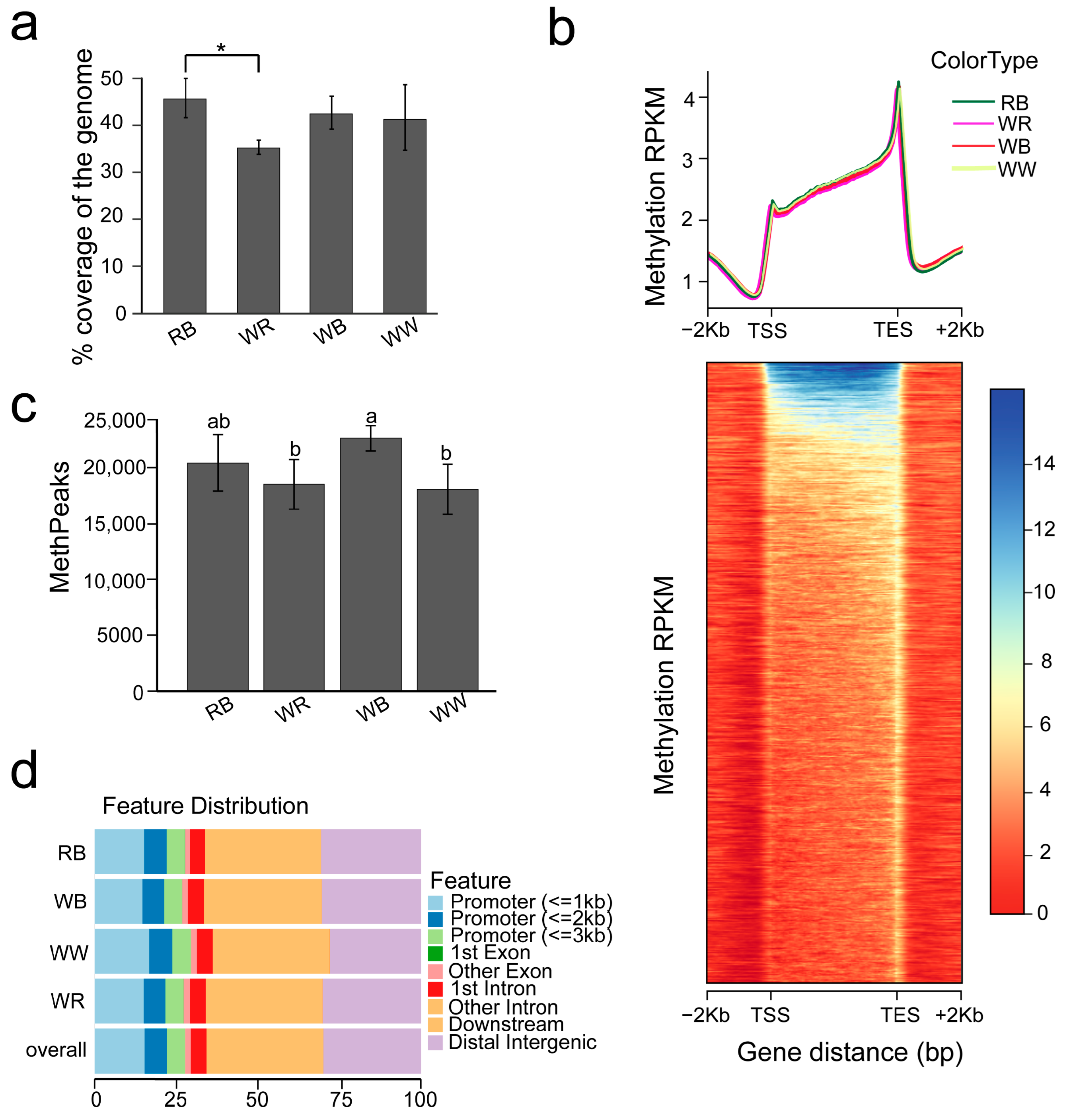 Ijms 26 10001 g001 Ijms 26 10001 g001