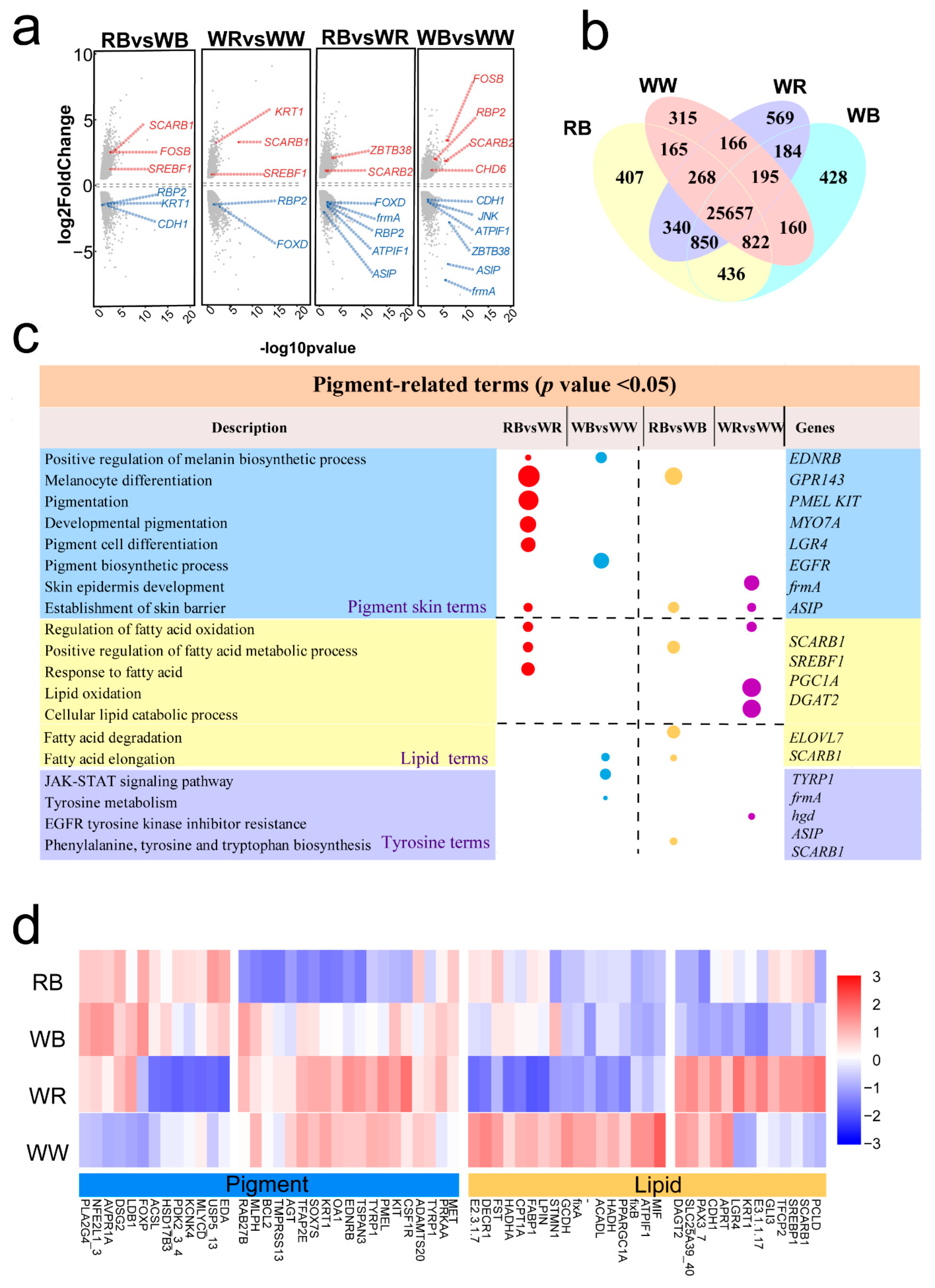 Ijms 26 10001 g003 Ijms 26 10001 g003