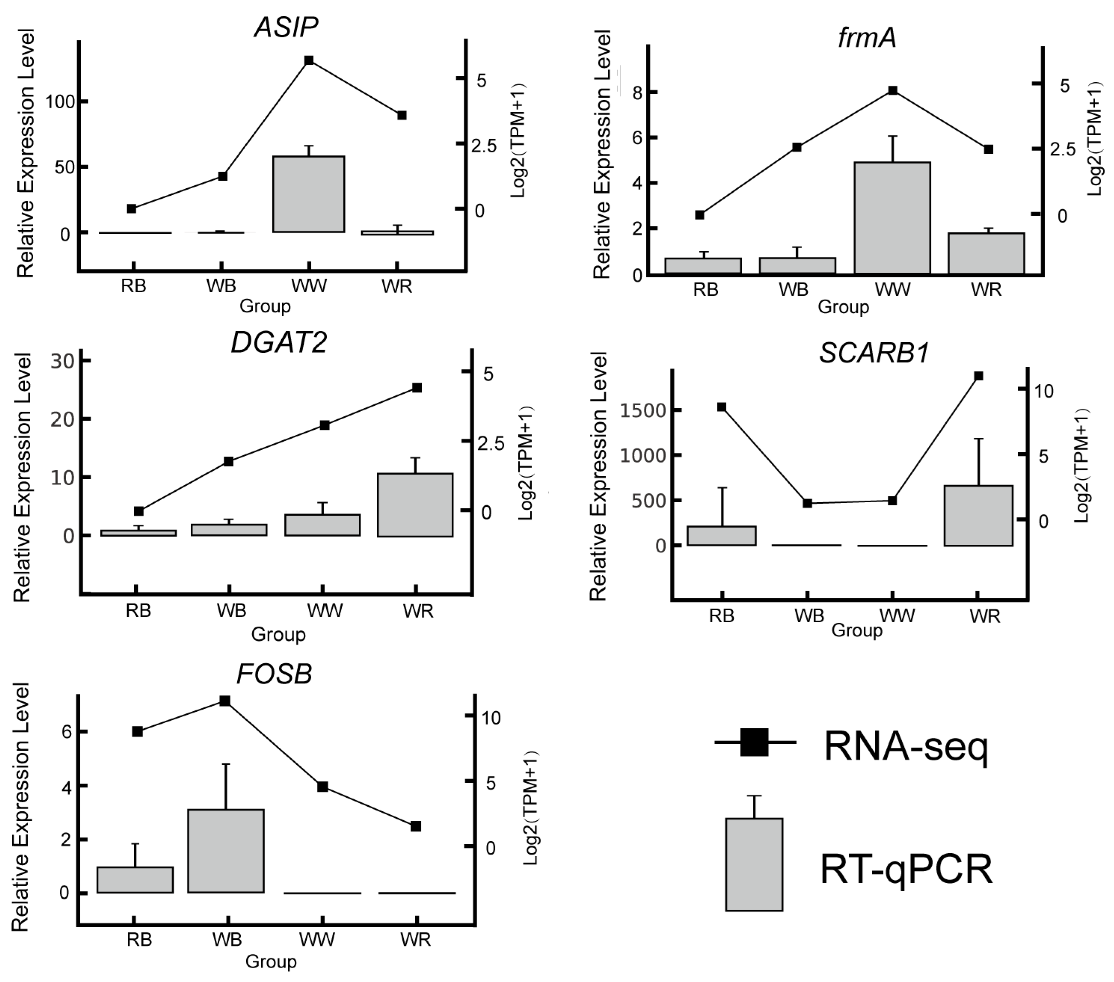 Ijms 26 10001 g004 Ijms 26 10001 g004