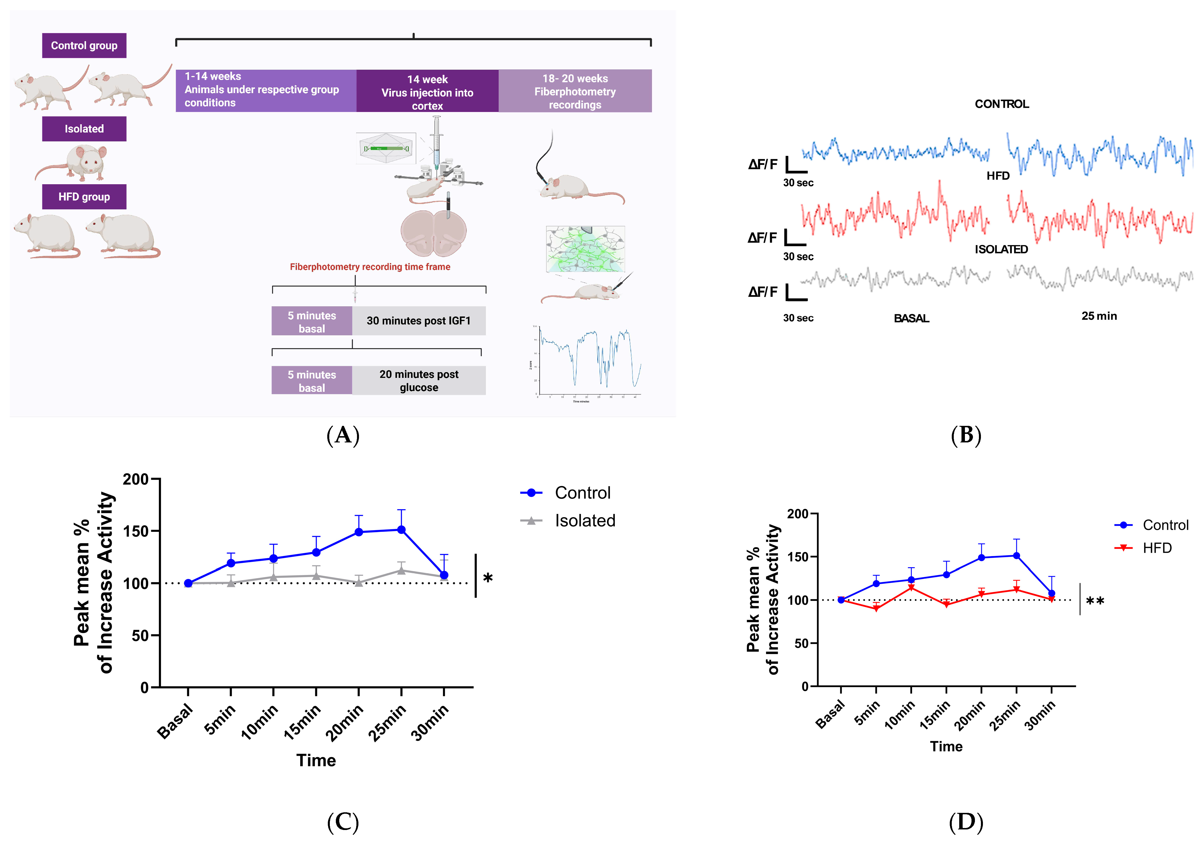 Ijms 26 10008 g002 Ijms 26 10008 g002