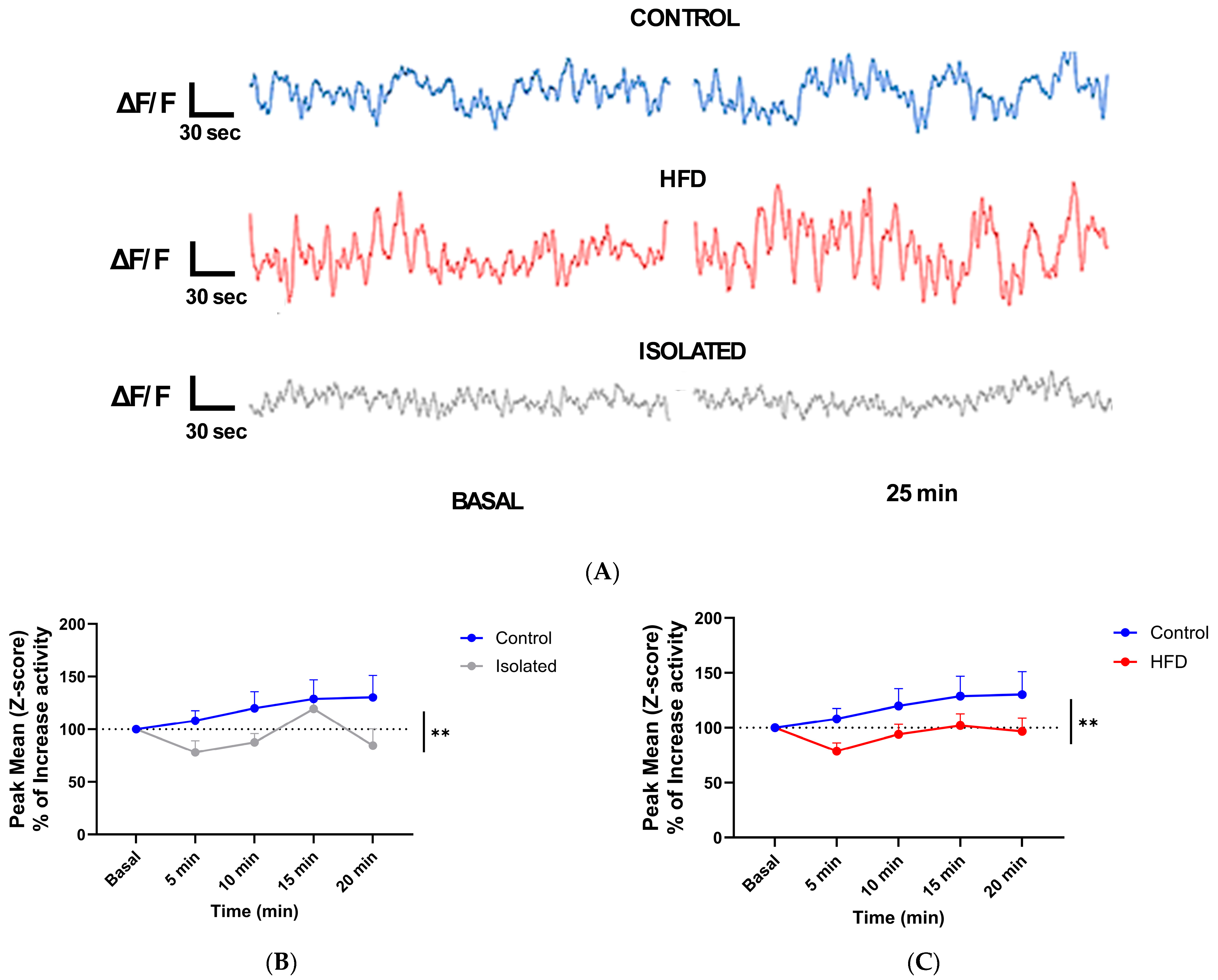 Ijms 26 10008 g003 Ijms 26 10008 g003