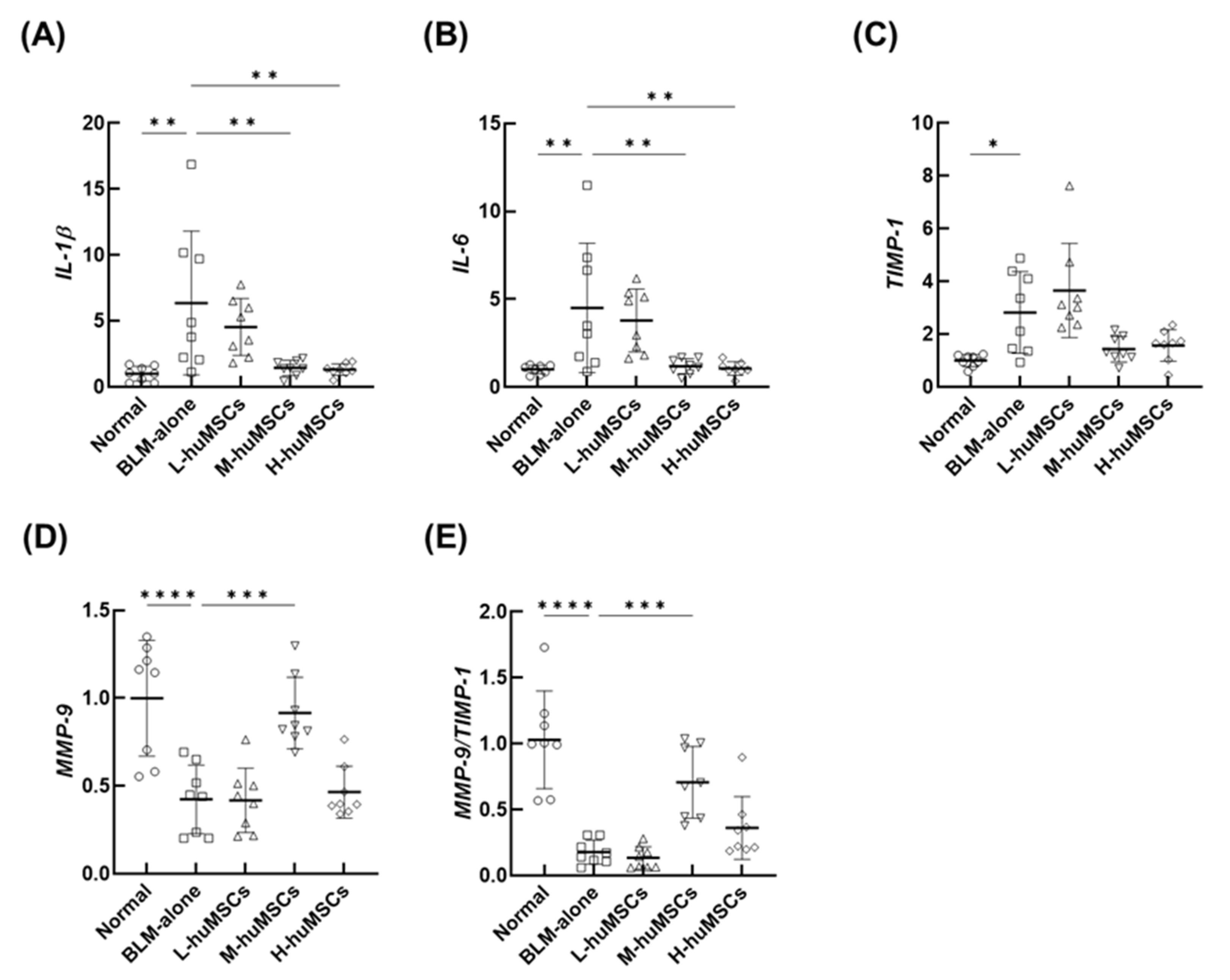 Ijms 26 10016 g002 Ijms 26 10016 g002