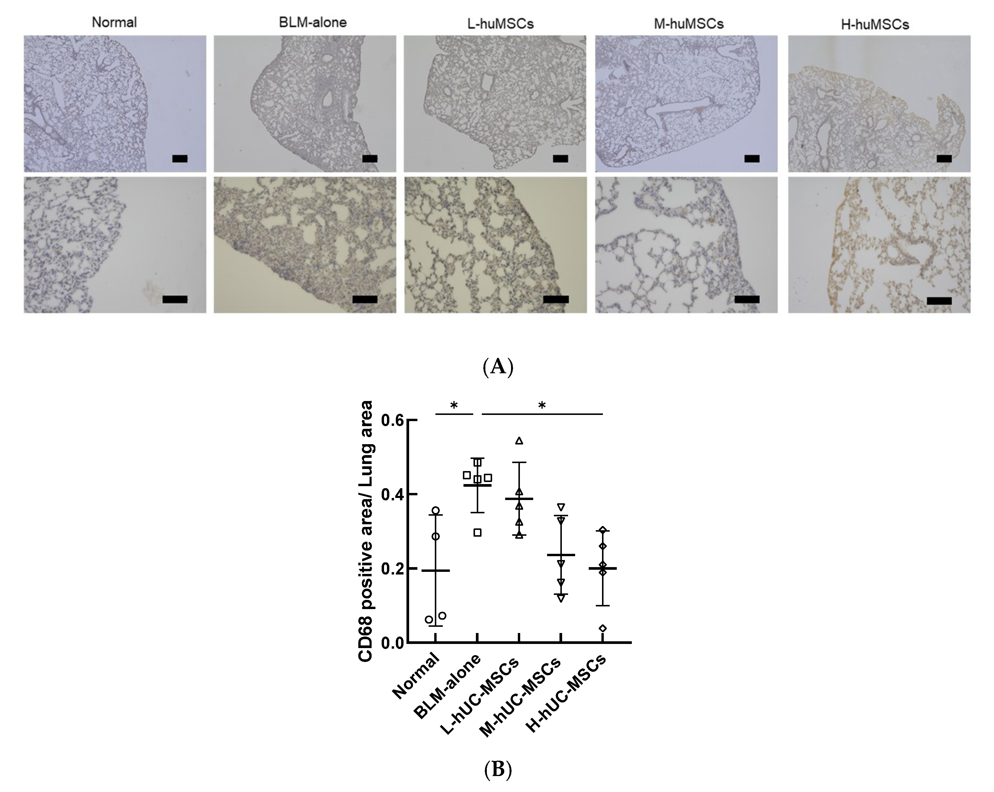 Ijms 26 10016 g003 Ijms 26 10016 g003