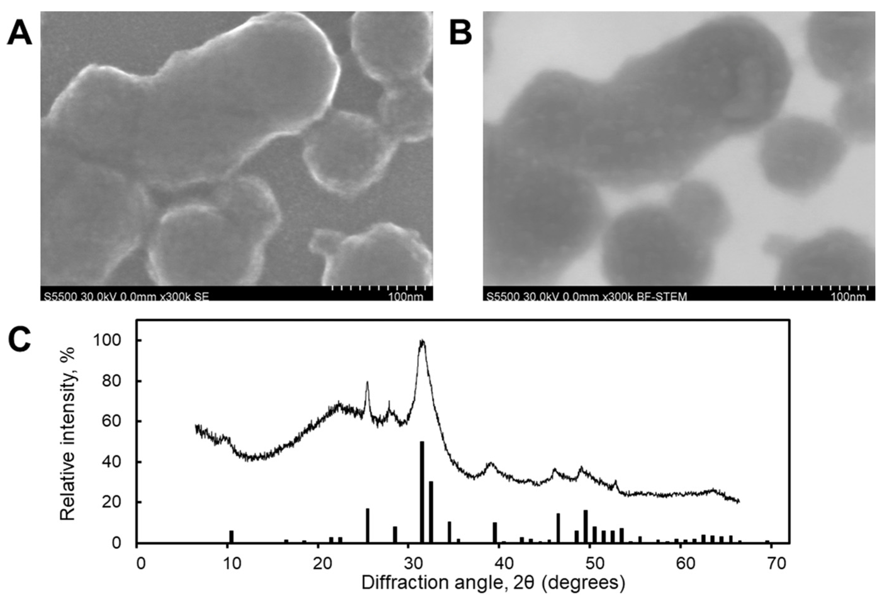 Ijms 26 10021 g002 Ijms 26 10021 g002