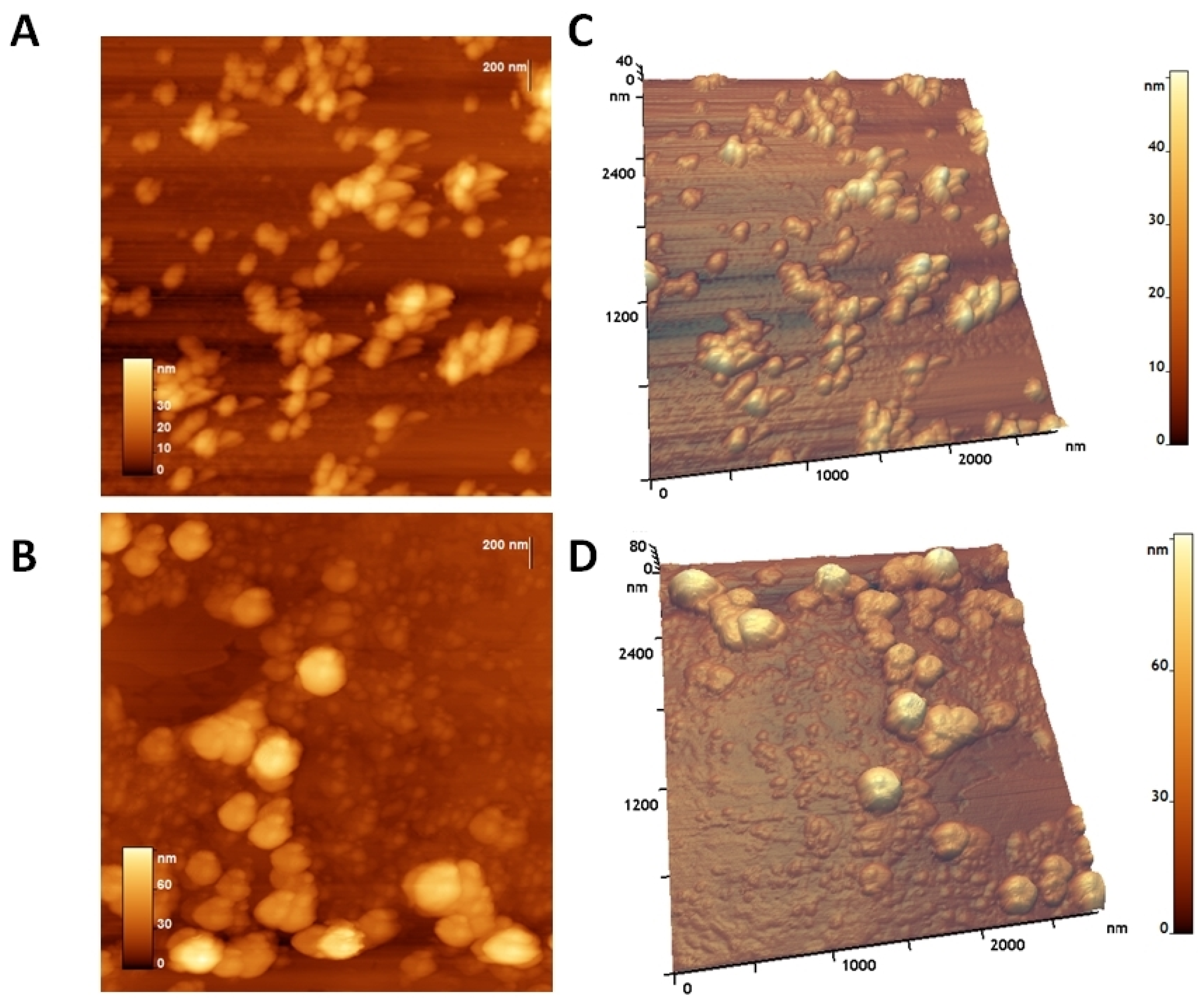 Ijms 26 10021 g003 Ijms 26 10021 g003